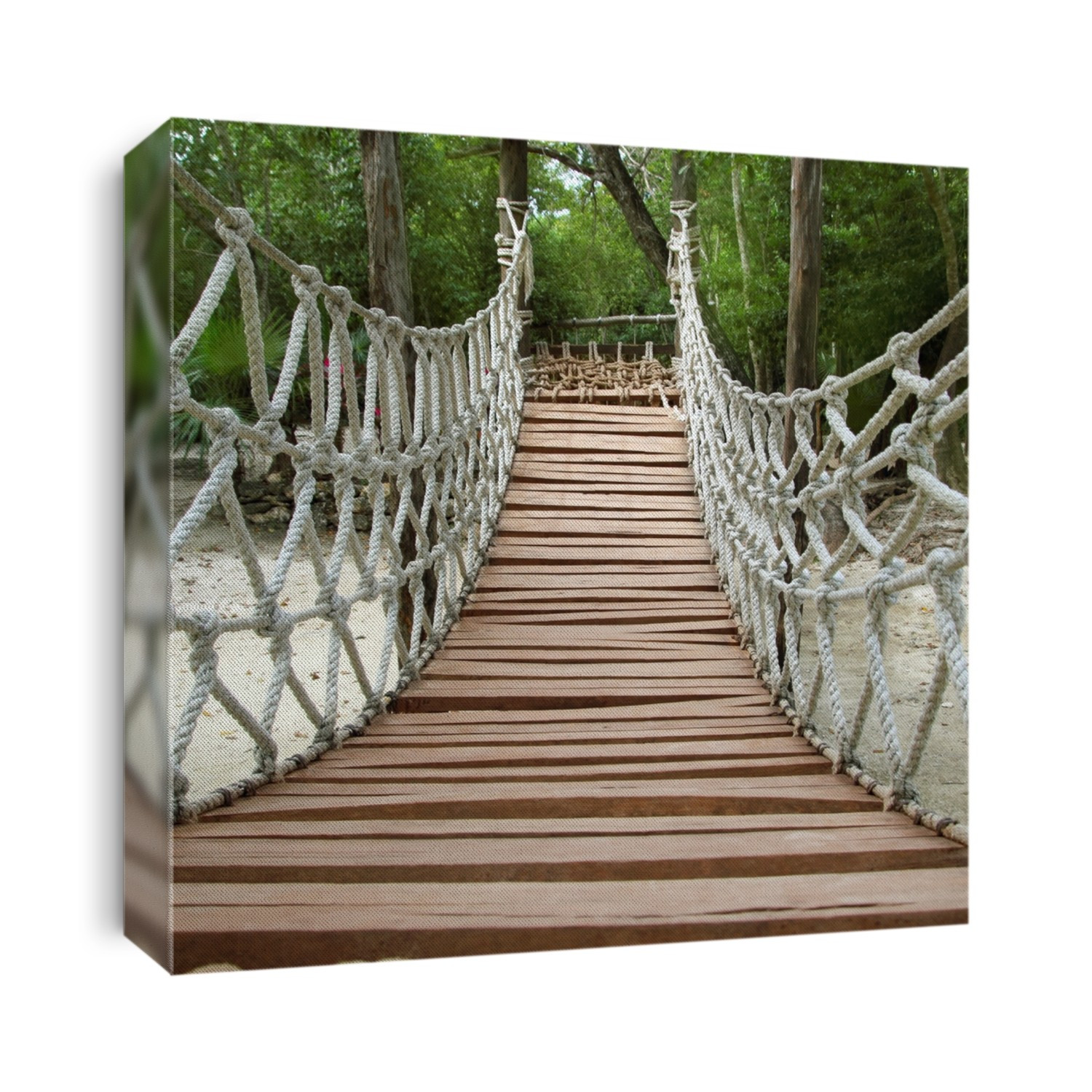 Adventure wooden rope suspension bridge in jungle rainforest