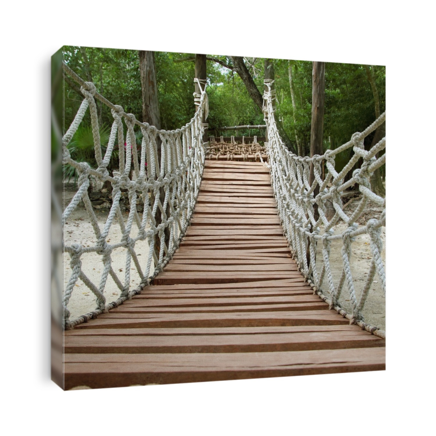 Adventure wooden rope suspension bridge in jungle rainforest