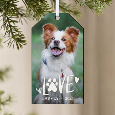 Pet Love Photo Ornament