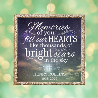 TwinkleBright® LED Memories of You Ornament