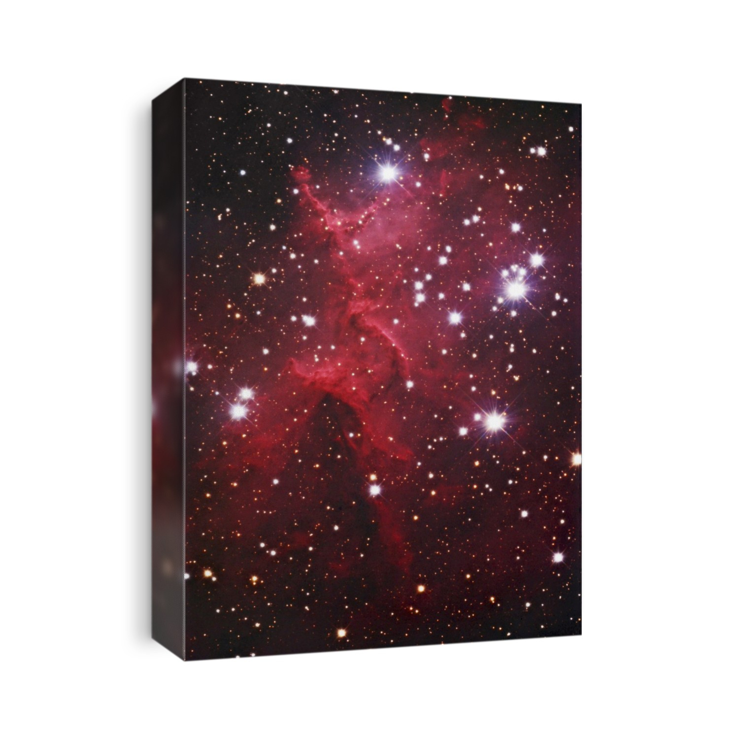Star cluster Mel-15 in the emission nebula IC 1805. This cluster of hot young stars formed from the coalescence of the gas in the nebula. The radiation from stars then ionises the remaining hydrogen gas in the nebula, causing it to emit this characteristic red light. The cluster and nebula lie around 7500 light years from Earth in the constellation Cassiopeia.