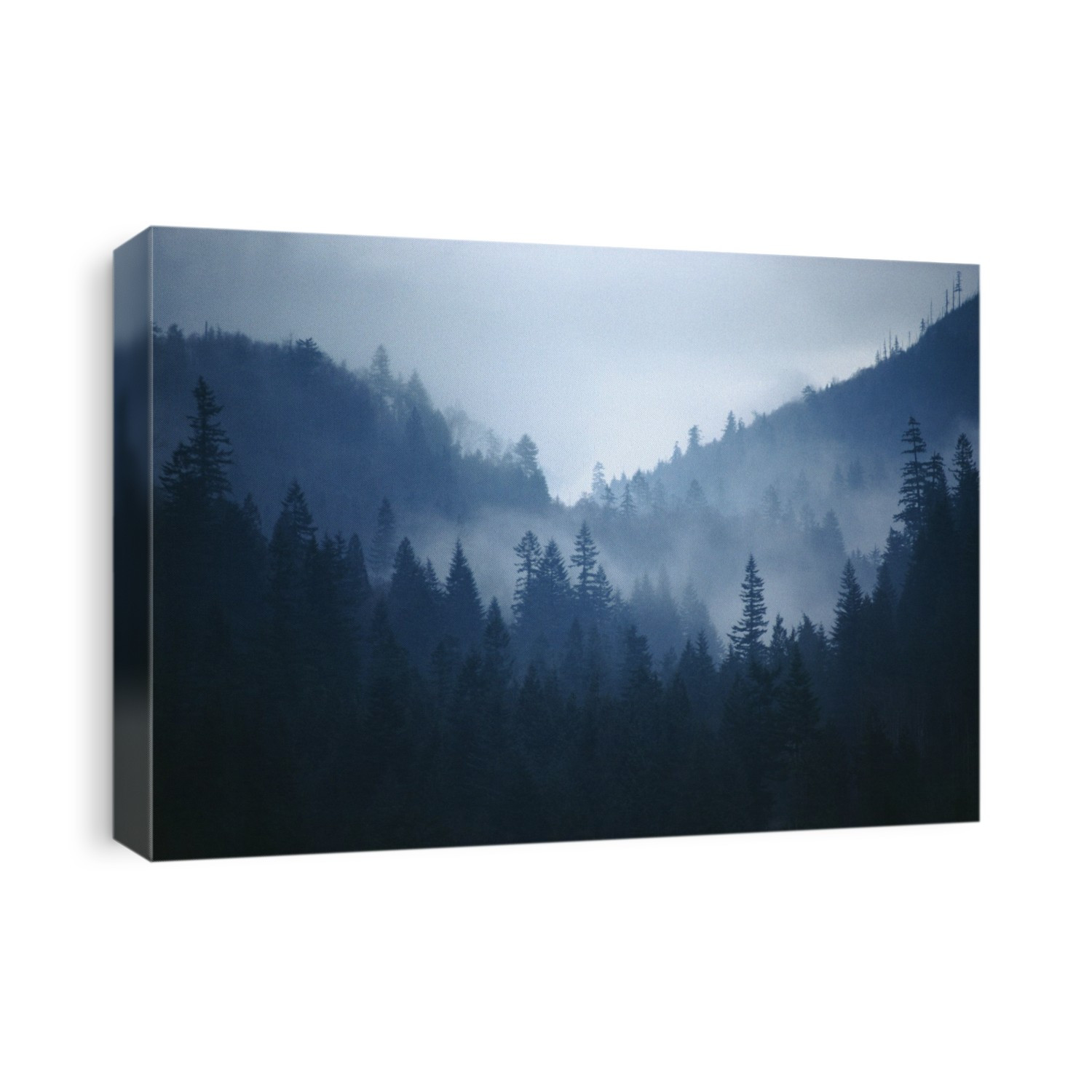 Fv4277, Bert Klassen; Foggy Mountain With Trees