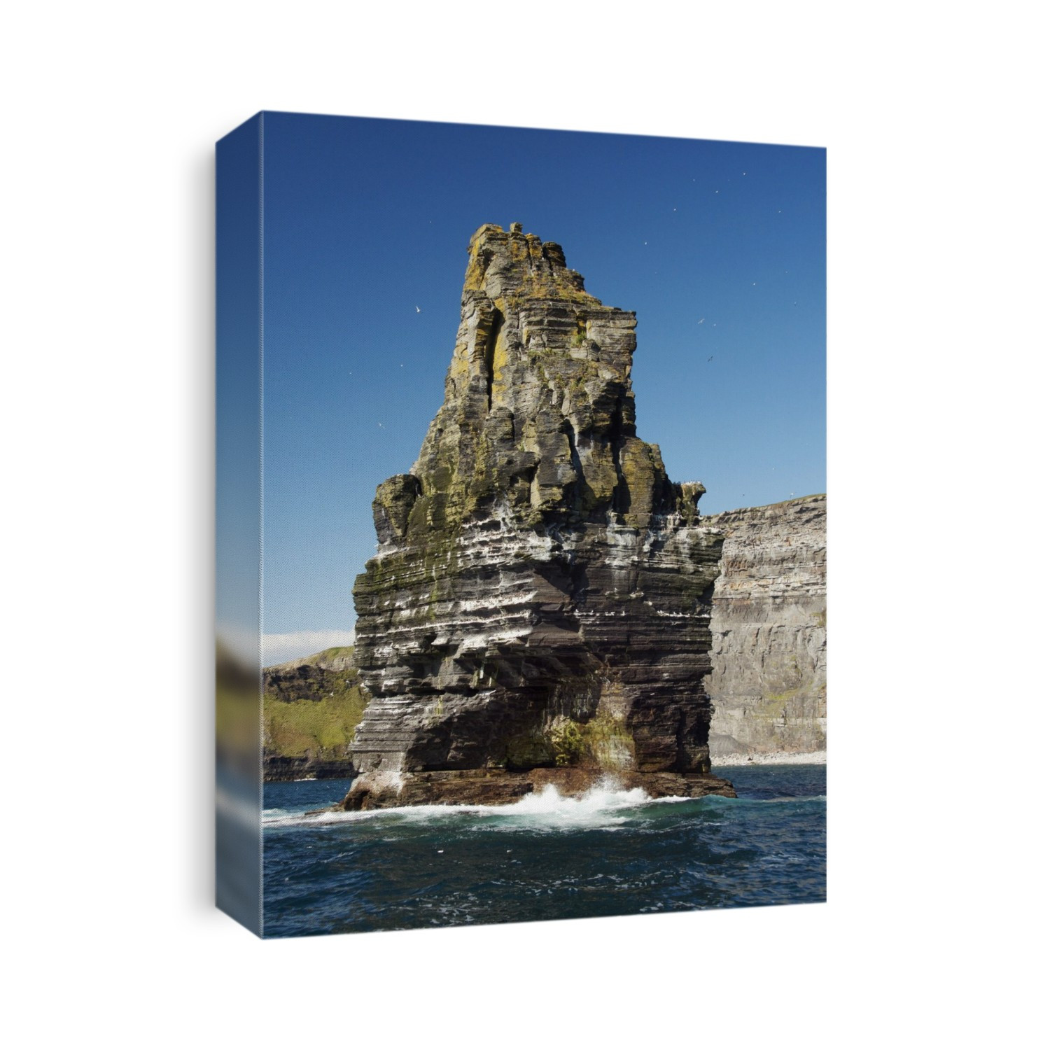 The Cliffs of Moher in County Clare, Ireland are the highest sea cliffs in the British Isles. They are 250 metres high, and consist of Namurian sandstones which are from the Carboniferous Period (358.9 Â± 0.4 million years to 298.9 Â± 0.15 Ma). This Sea Stack has a seabird colony of Puffins, Razorbills and Guillemots.