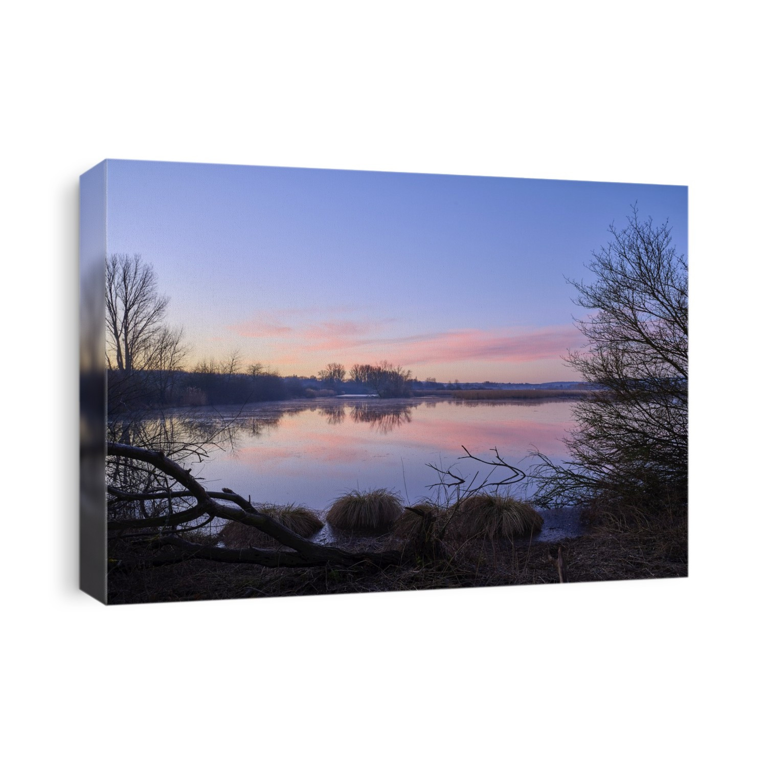 Reinheim pond at sunrise in a nature reserve; Reinheim, Hesse, Germany