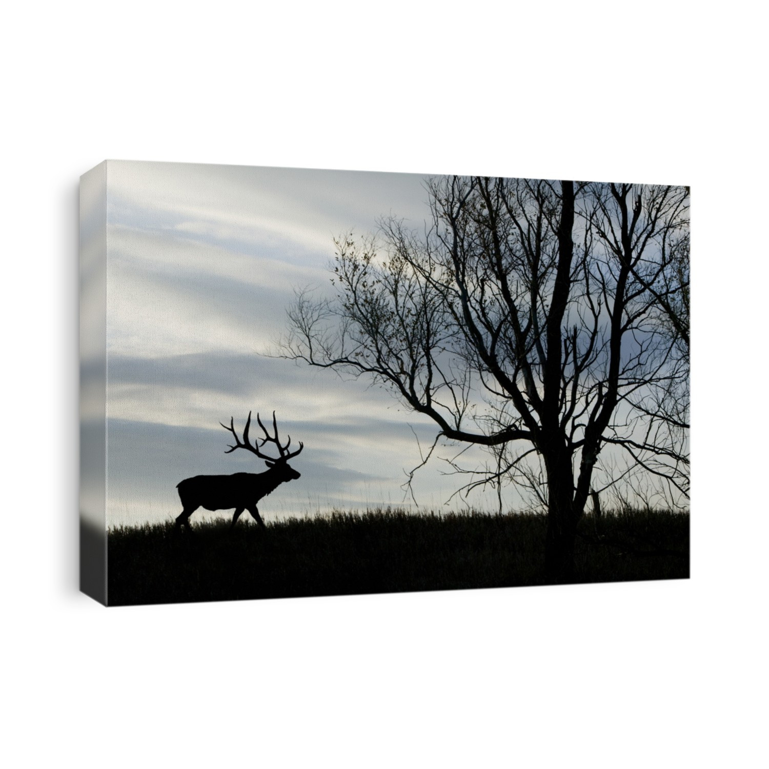 A silhouette of a bull elk