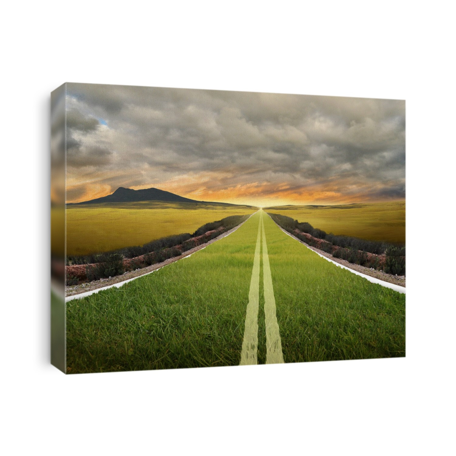 Illustration of grass growing on road representing go green concept.