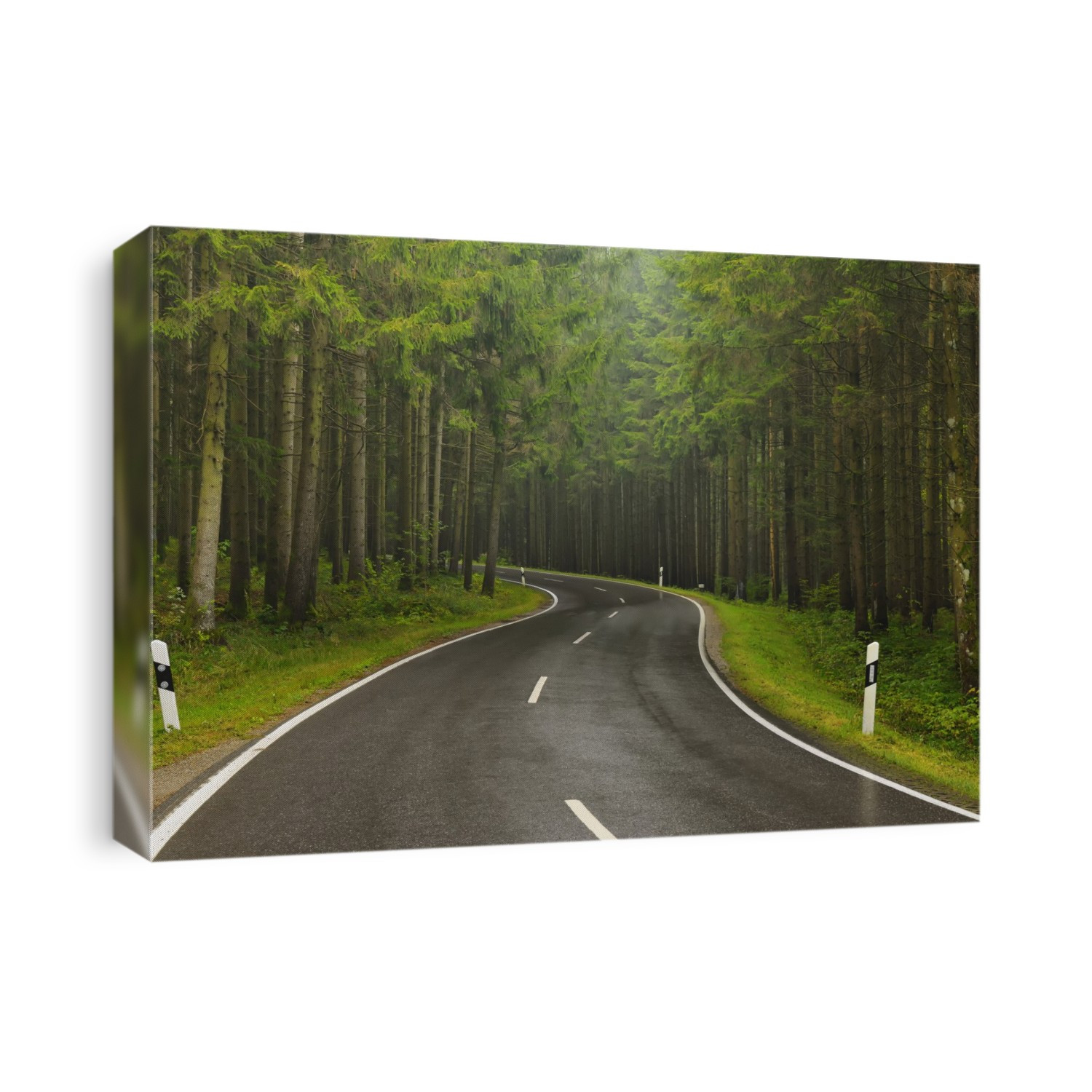 Curving Country Road in Rain, Bavaria, Germany
