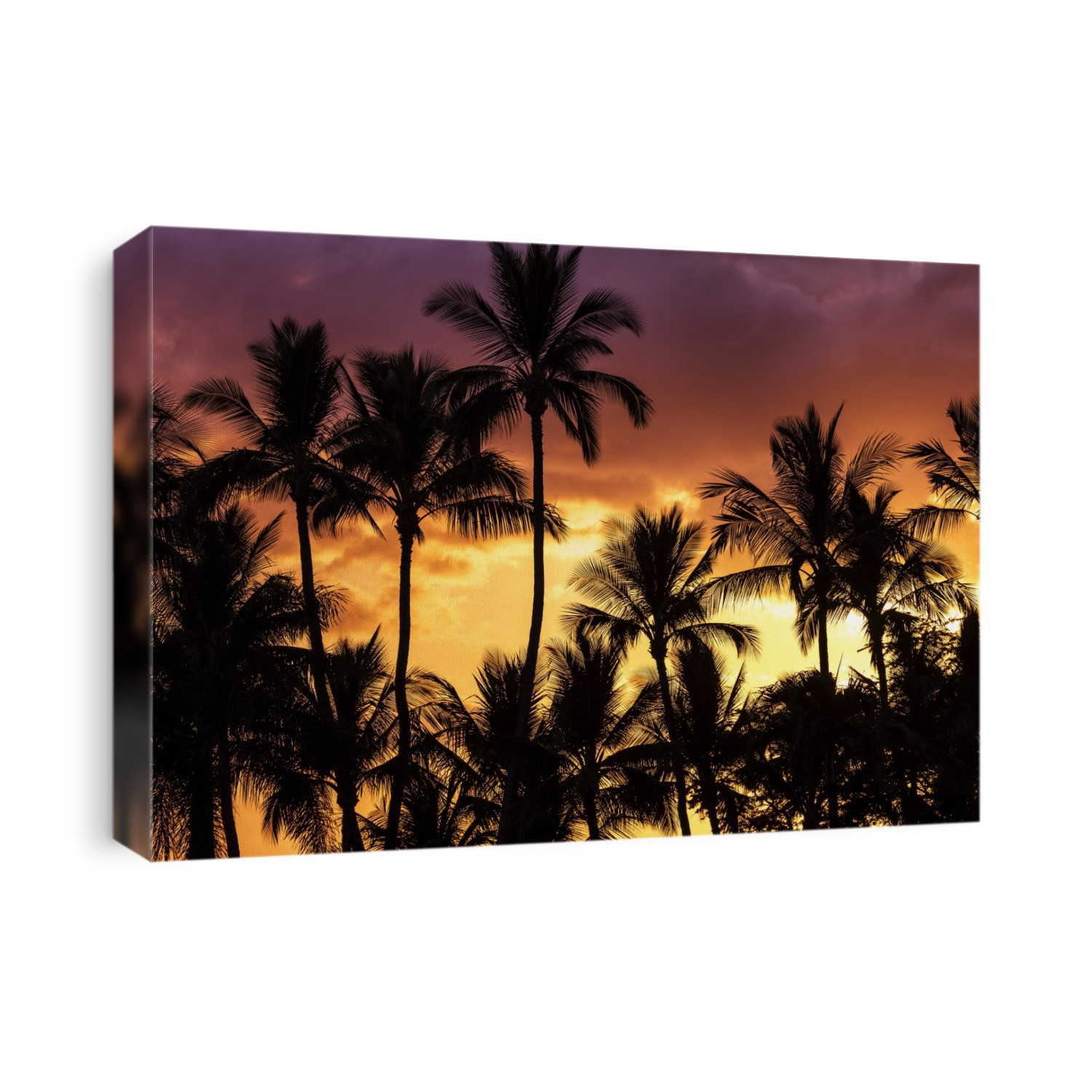Bright, colourful sky with palm trees silhouetted; Wailea, Maui, Hawaii, United States of America