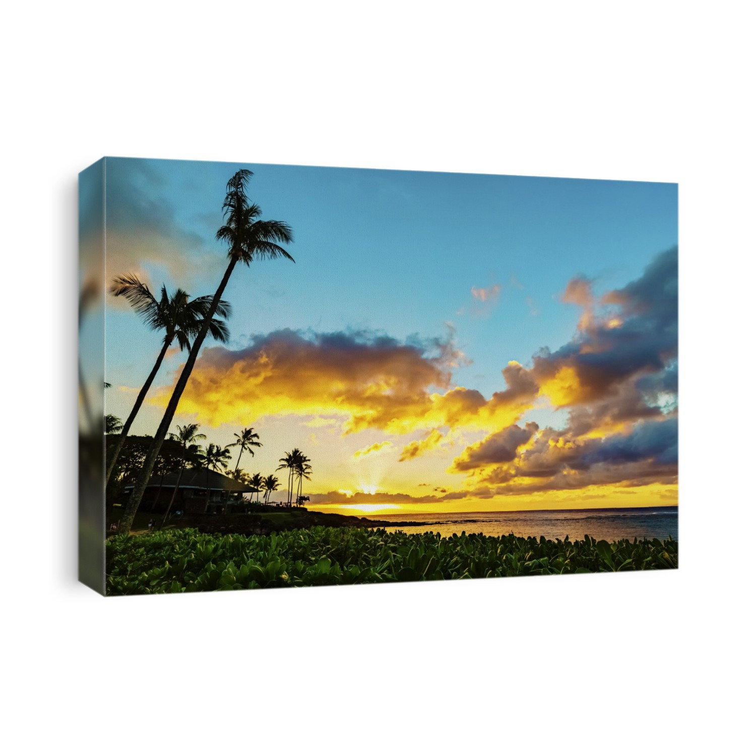 A golden sunset with glowing clouds over the ocean and horizon, with silhouette of palm trees and restaurant patio umbrellas with lush green foliage in the foreground on the shoreline of Kapalua Bay; Ka'anapali, Maui, Hawaii, United States of America