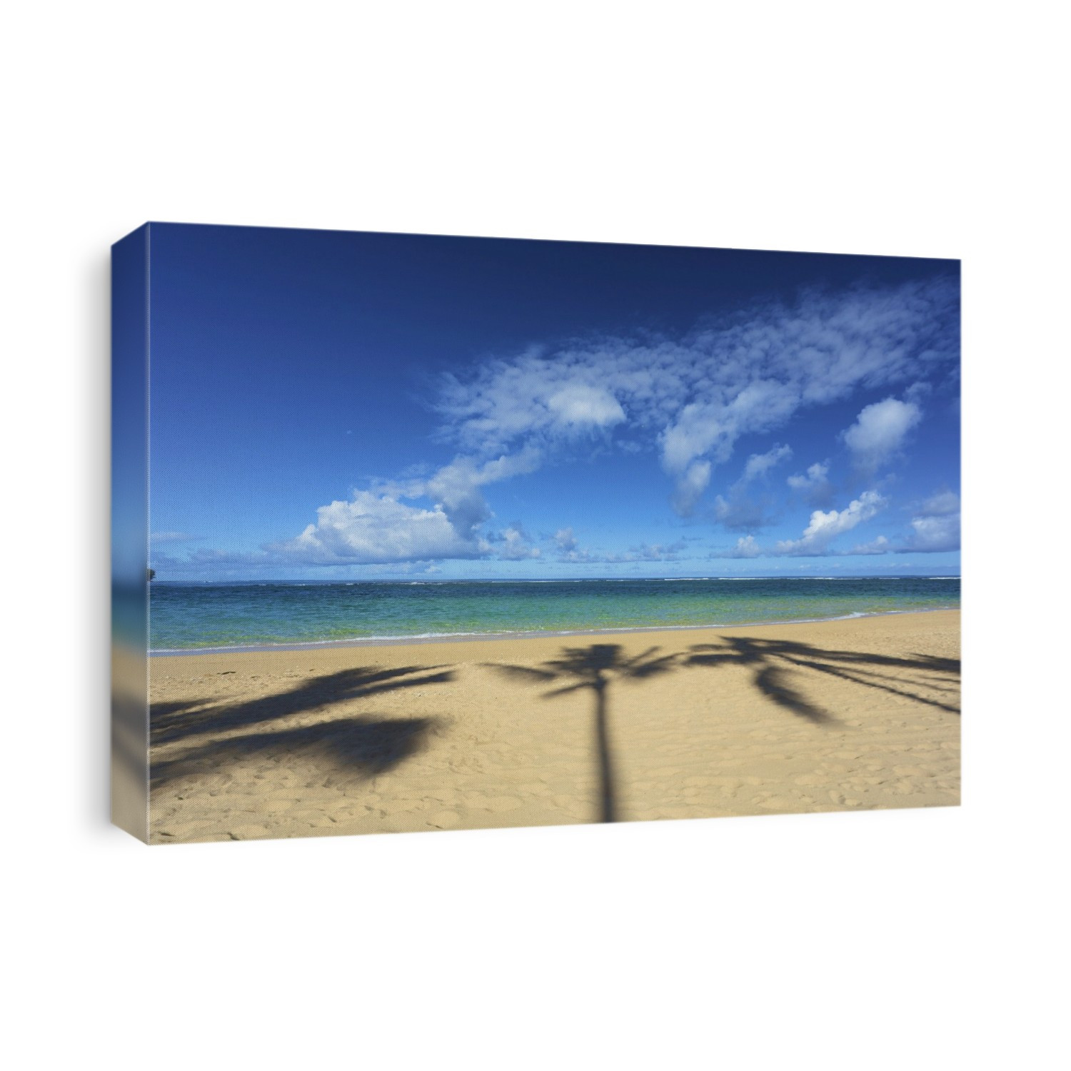 Shadows Of Palm Trees On Tunnels Beach; Kauai, Hawaii, United States Of America