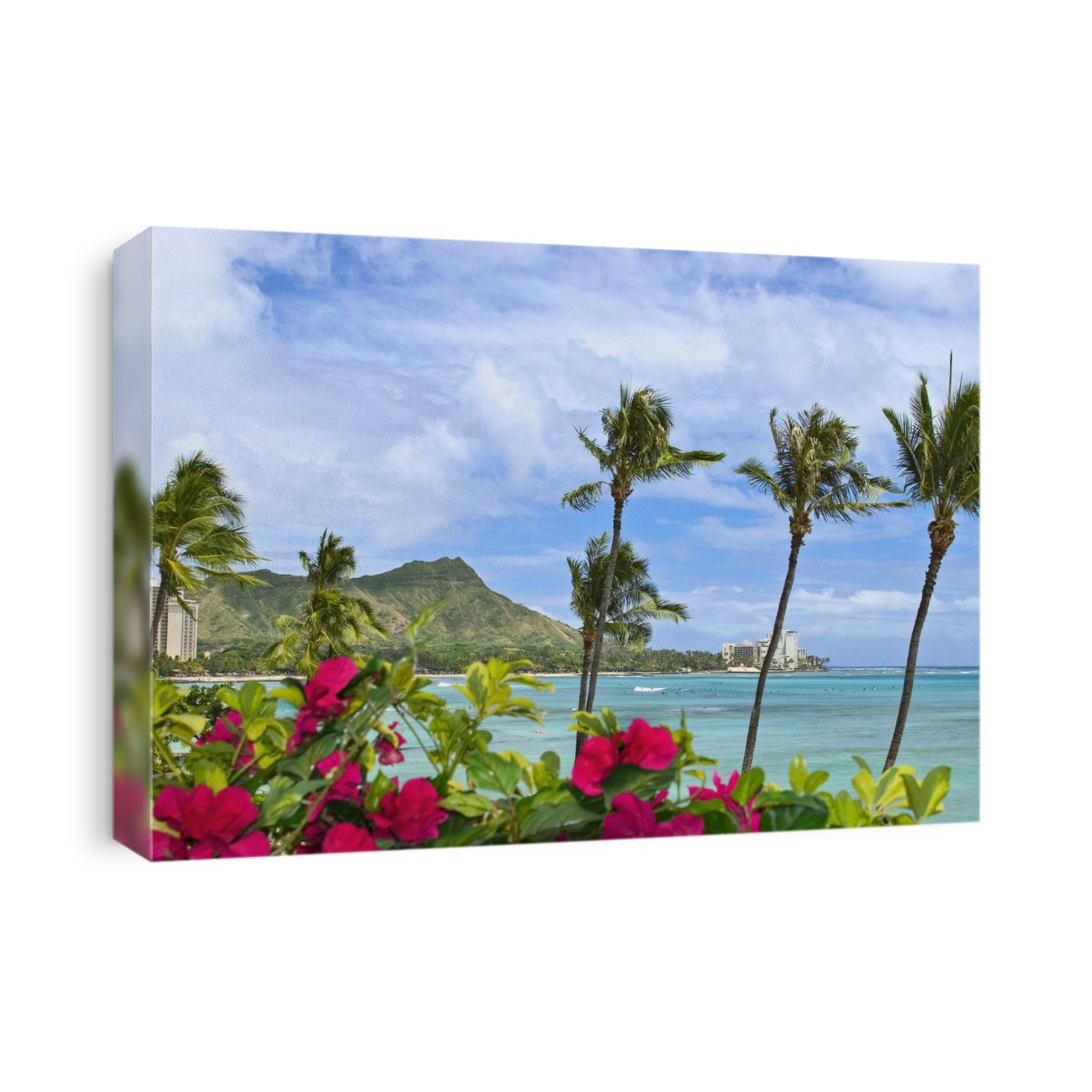 Hawaii, Oahu, Diamond Head, Waikiki, Palm Trees And Bougainvillea Foreground.