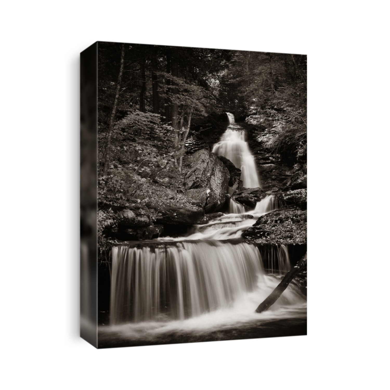Waterfalls in woods in black and white.
