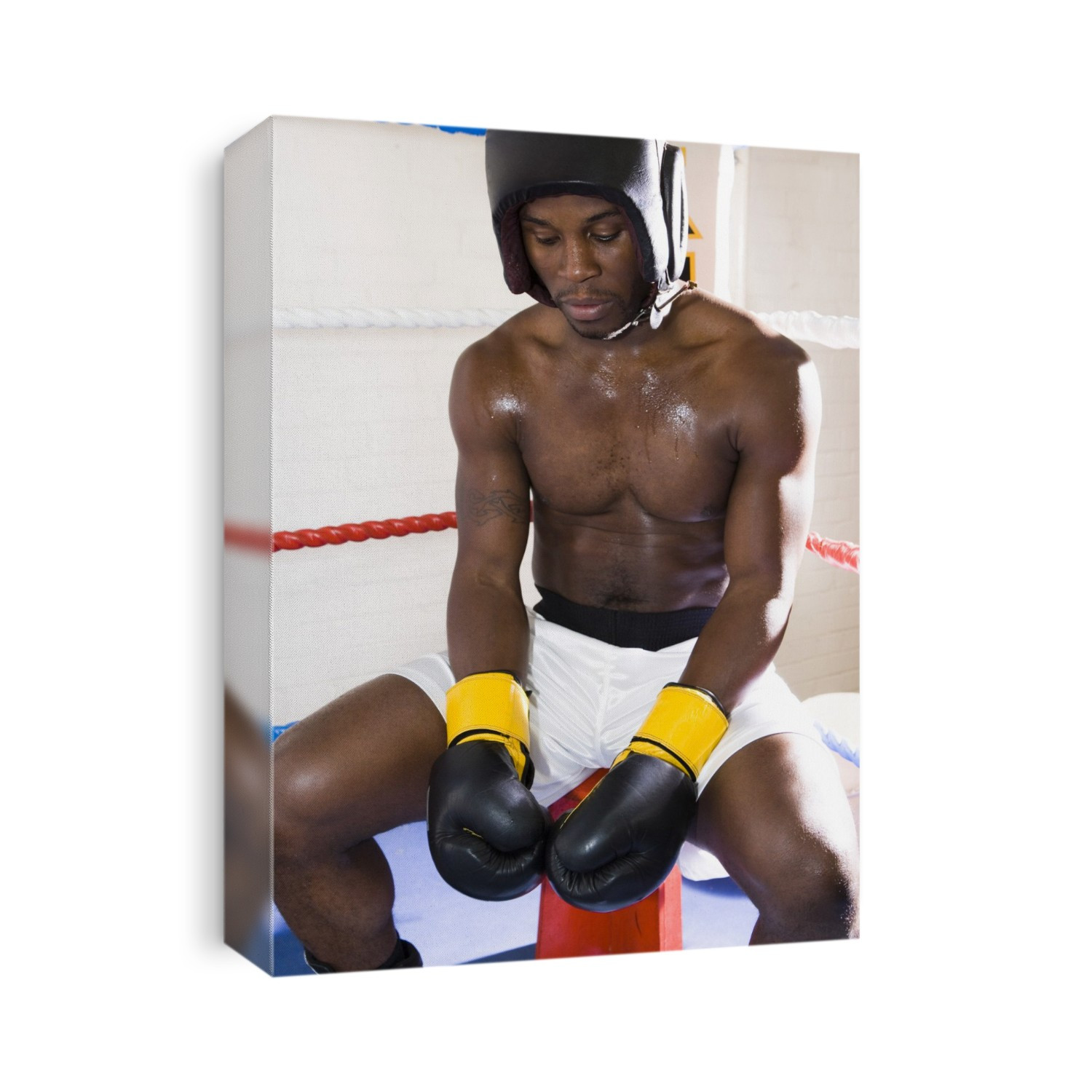 MODEL RELEASED. Boxer resting during sparring training. Boxing is a combat sport where two opponents of equal weight hit each other with gloved fists. Punches are only allowed to the head and body. boxers practice for fights by sparring with each other in the boxing ring. During contests, boxers often aim for a knockout punch that causes the opponent to fall unconscious. Concussion or permanent brain damage can result as a consequence of a knockout punch. Boxers must wear protective equipment such as a gumshield, gloves and, in amateur boxing, head protection.