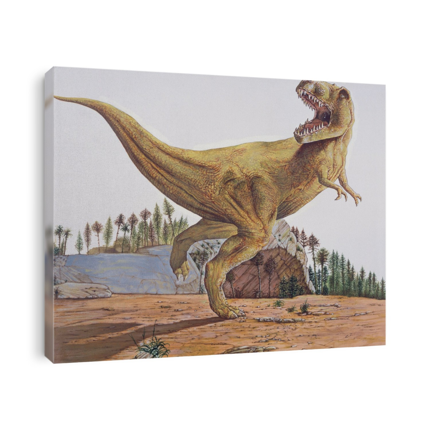 Side profile of a tyrannosaurus rex in the forest.