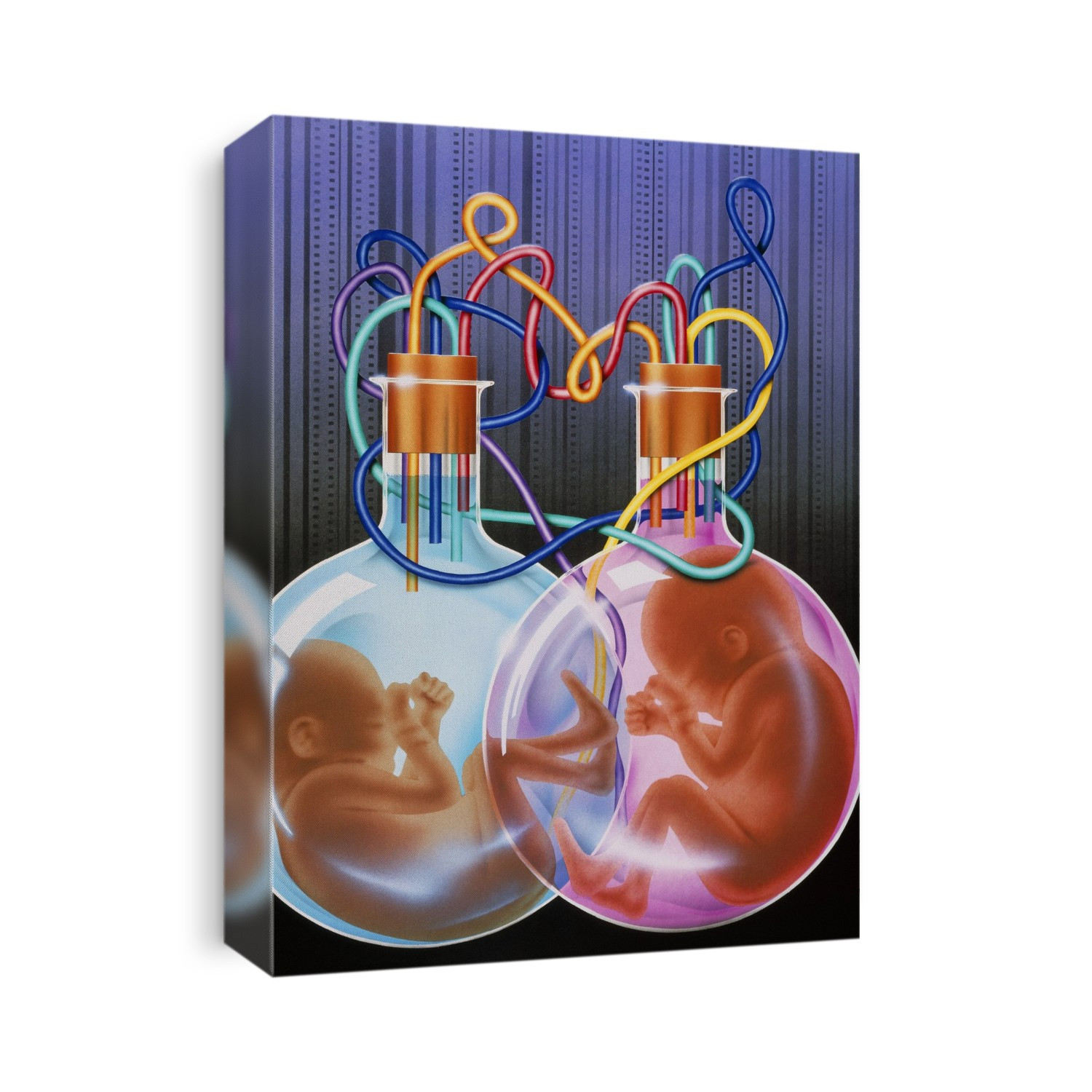 Cloned or test tube babies. Conceptual artwork of two foetuses developing in flasks linked with coloured tubes. This may represent human cloning or test tube babies. Cloning is a process whereby an organism may be copied exactly by implanting its genetic material (deoxyribonucleic acid, DNA) into eggs from the same species. It is theoretically possible to produce unlimited numbers of identical copies of a person. A test tube baby is one in which the egg is artificially fertilised with sperm in a laboratory rather than inside the mother. This method allows a certain amount of control over the conception: traits such as the gender of the baby can be predetermined.