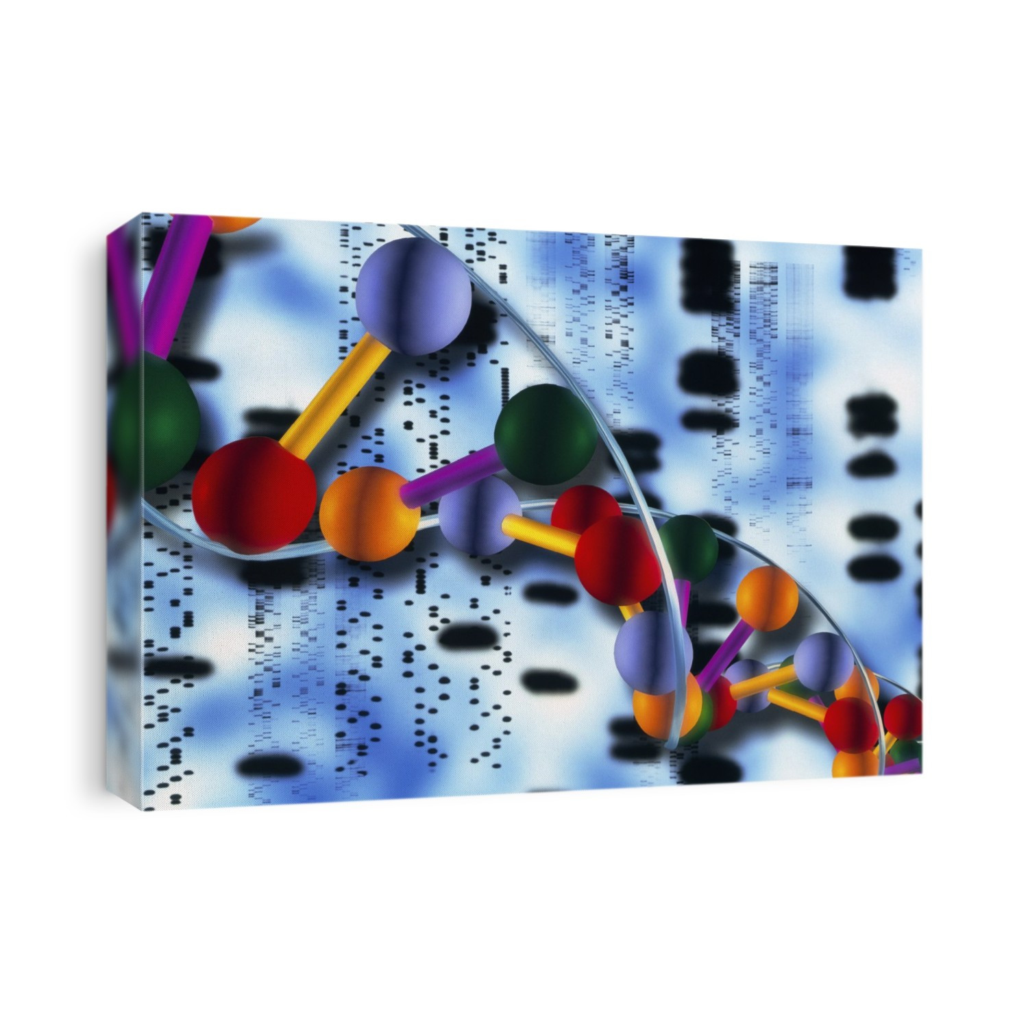 DNA. Computer illustration of part of a molecule of beta DNA (deoxyribonucleic acid), the genetic material found in all living cells, seen with autoradiogram genetic sequences. Beta DNA spirals clockwise when viewed from above. DNA encodes the hereditary characteristics of living organisms and is responsible for all hereditary traits. It consists of a double helix of two sugar-phosphate backbones (white) connected by paired nucleotide bases (red, green, blue and orange spheres). The sequence of these four bases determines the unique genetic code of each individual. Each of the black bands in the autoradiogram represents the position of one of the bases in the genetic code.