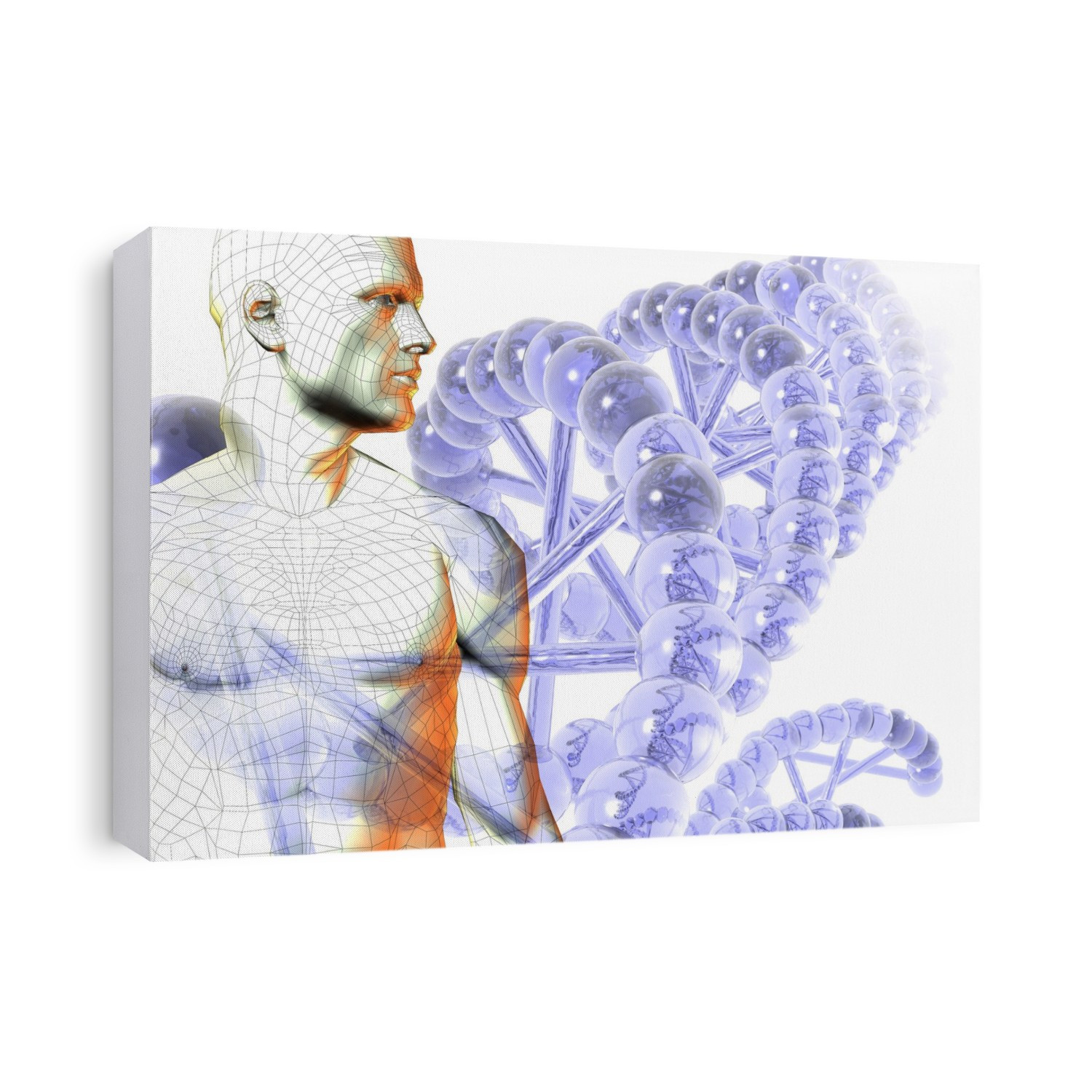 Illustration of a wire-frame male figure with DNA (deoxyribonucleic acid).