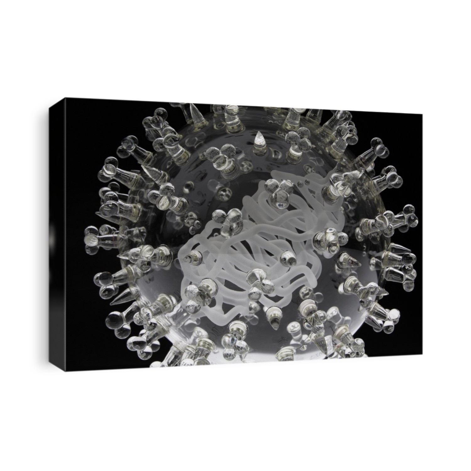 SARS coronavirus, glass sculpture. This sculpture was designed by the British artist Luke Jerram in consultation with virologists and created in collaboration with glass blowers. It features a transparent outer layer, which represents the outer membrane of the virus, and an opaque inner section, which represents the nucleocapsid protein and RNA. Smaller globular structures protruding from the outer layer represent surface proteins. The sculpture measures 22 centimetres in diameter.