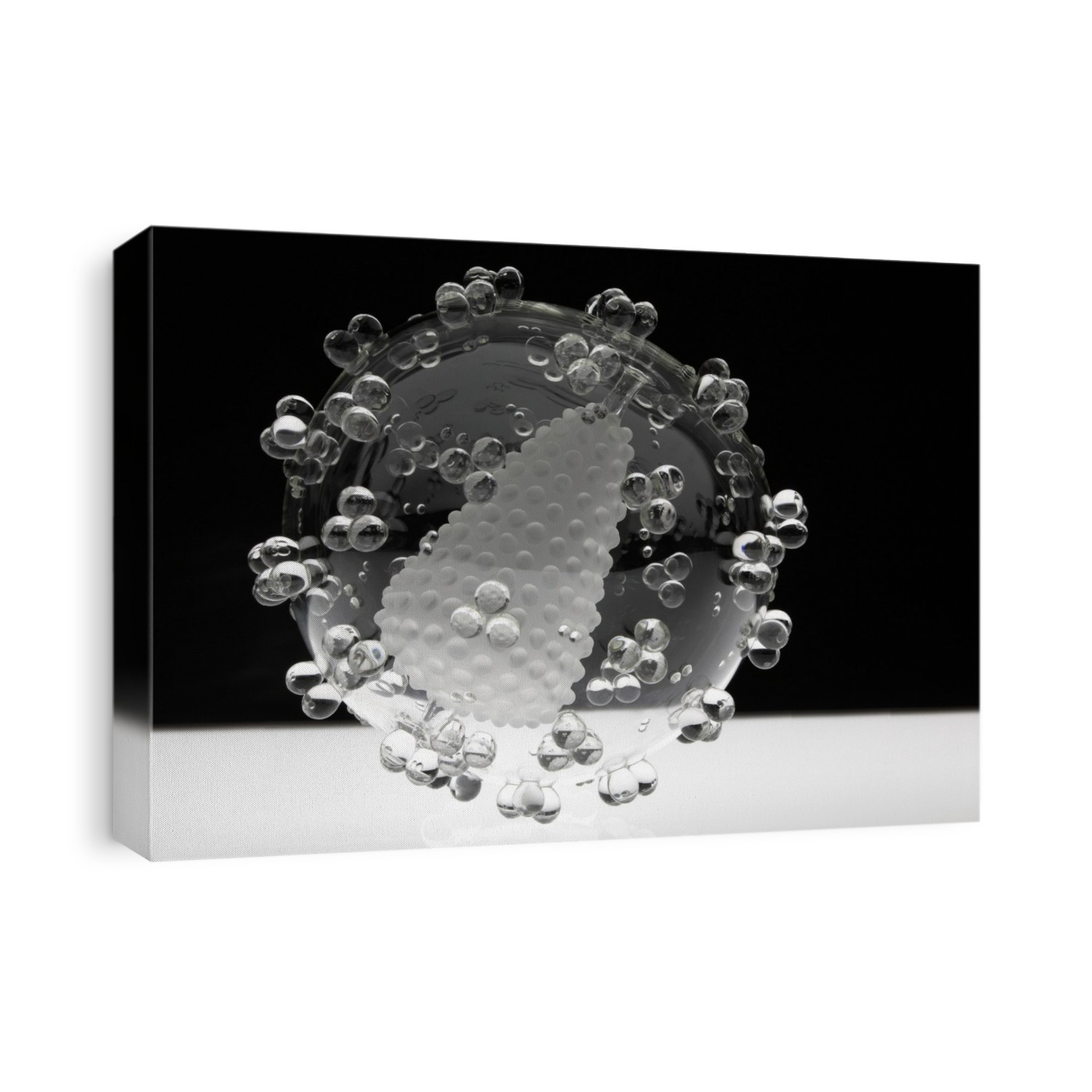 HIV, glass sculpture. Glass model of the Human Immunodeficiency Virus (HIV), the virus that causes AIDS (acquired immune deficiency syndrome). This sculpture was designed by the British artist Luke Jerram in consultation with virologists and created in collaboration with glass blowers. It features a transparent spherical outer layer, which represents the outer lipid membrane of the virus. An opaque inner section represents the RNA-containing protein capsid of the virus. Smaller globular structures protruding from the outer layer represent surface glycoproteins.