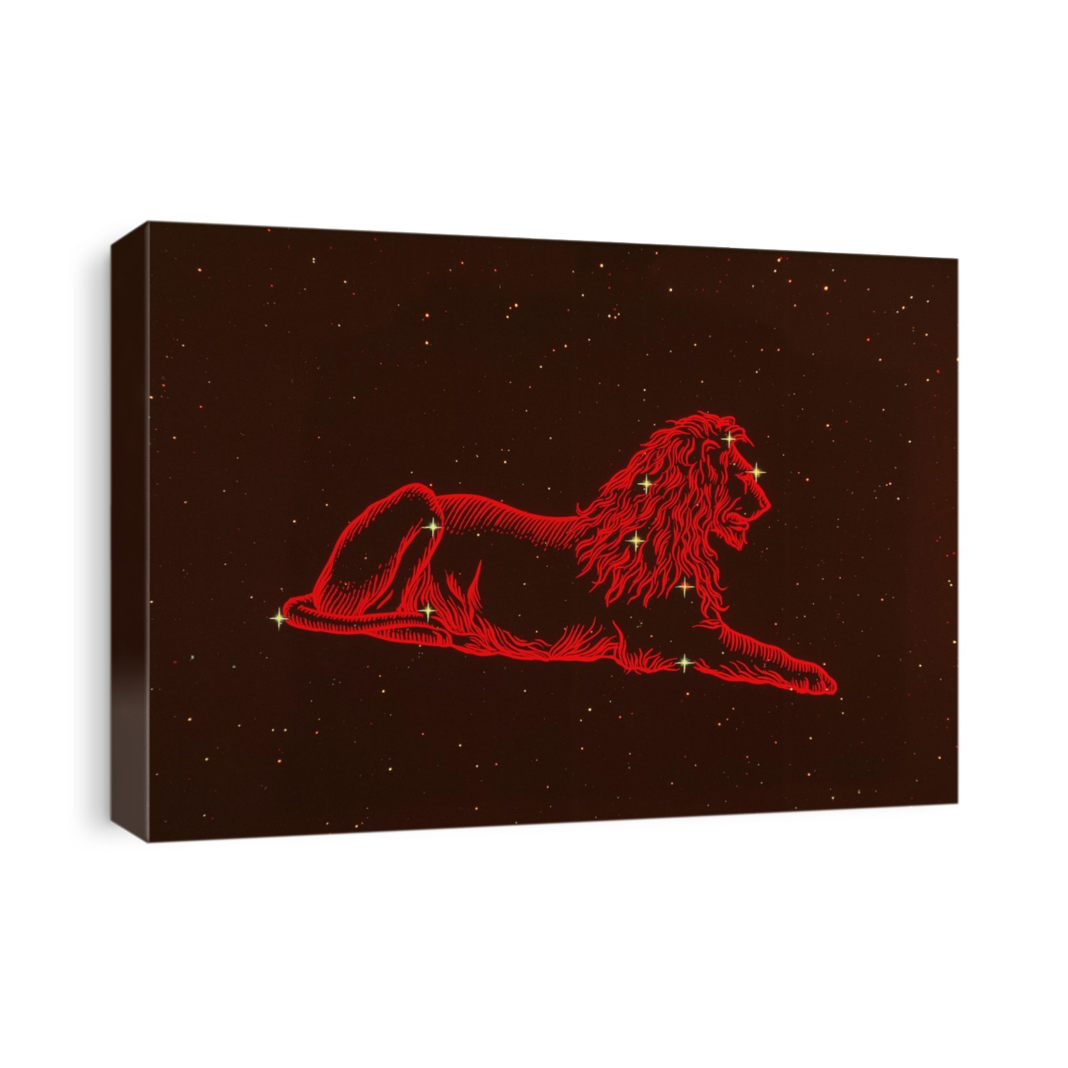Leo the Lion, fifth of the twelve constellations or signs of the Zodiac. The figure of the lion is superimposed on a photograph in which the constellation stars have been enhanced. The stars form two groups, a triangle forming the lion's haunches & tail, & the famous "sickle" or reverse question-mark forming the head & mane. Leo's alpha star, Regulus, is at the base of the sickle & seems to be more important in mythology than the lion itself. The Egyptians accorded it power because the annual Nile flood came at the time when the Sun entered Leo. The Sun is in Leo from 23 July to 22 August.