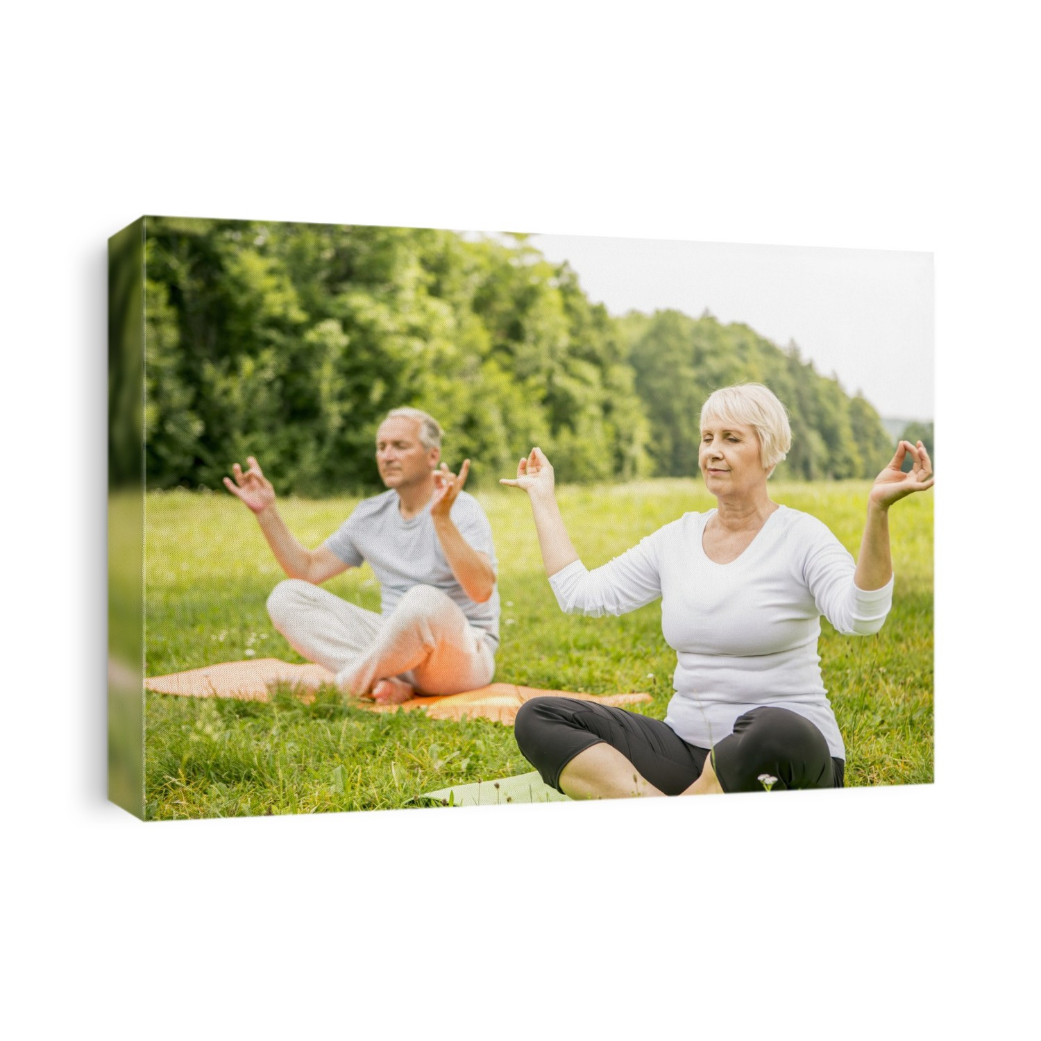 Mature man and senior woman doing yoga in field.