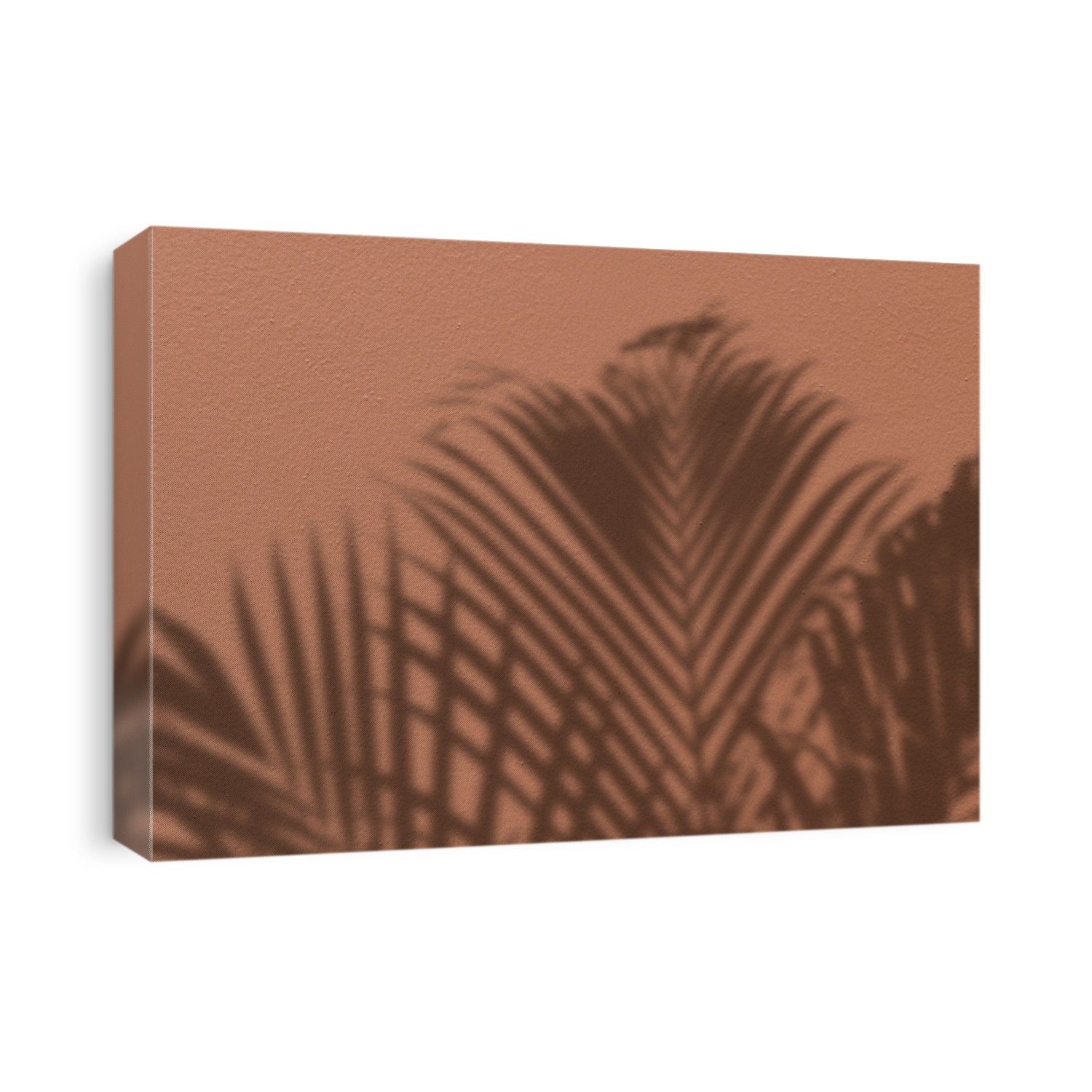 Background with shadow of a palm tree