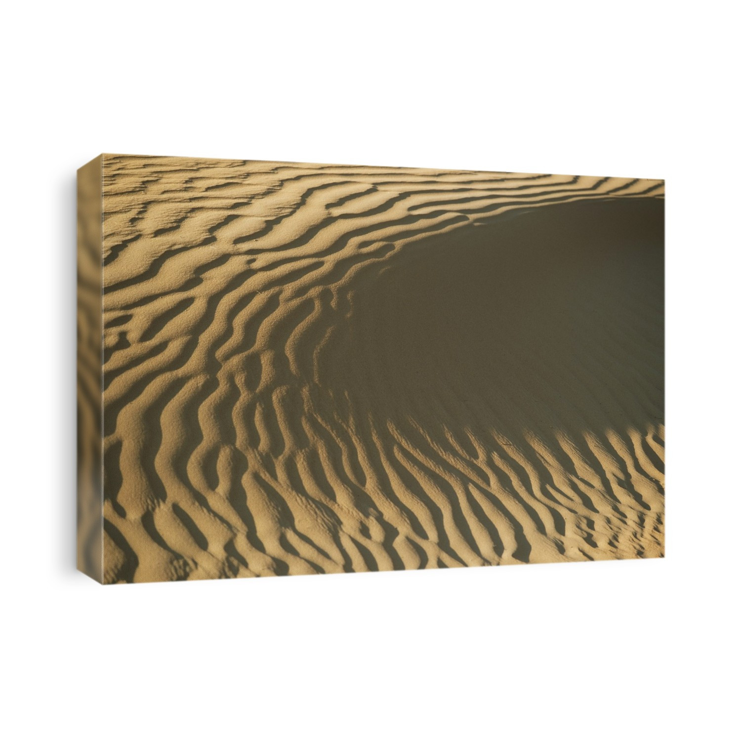 Ripples In Sand Dune, Close Up