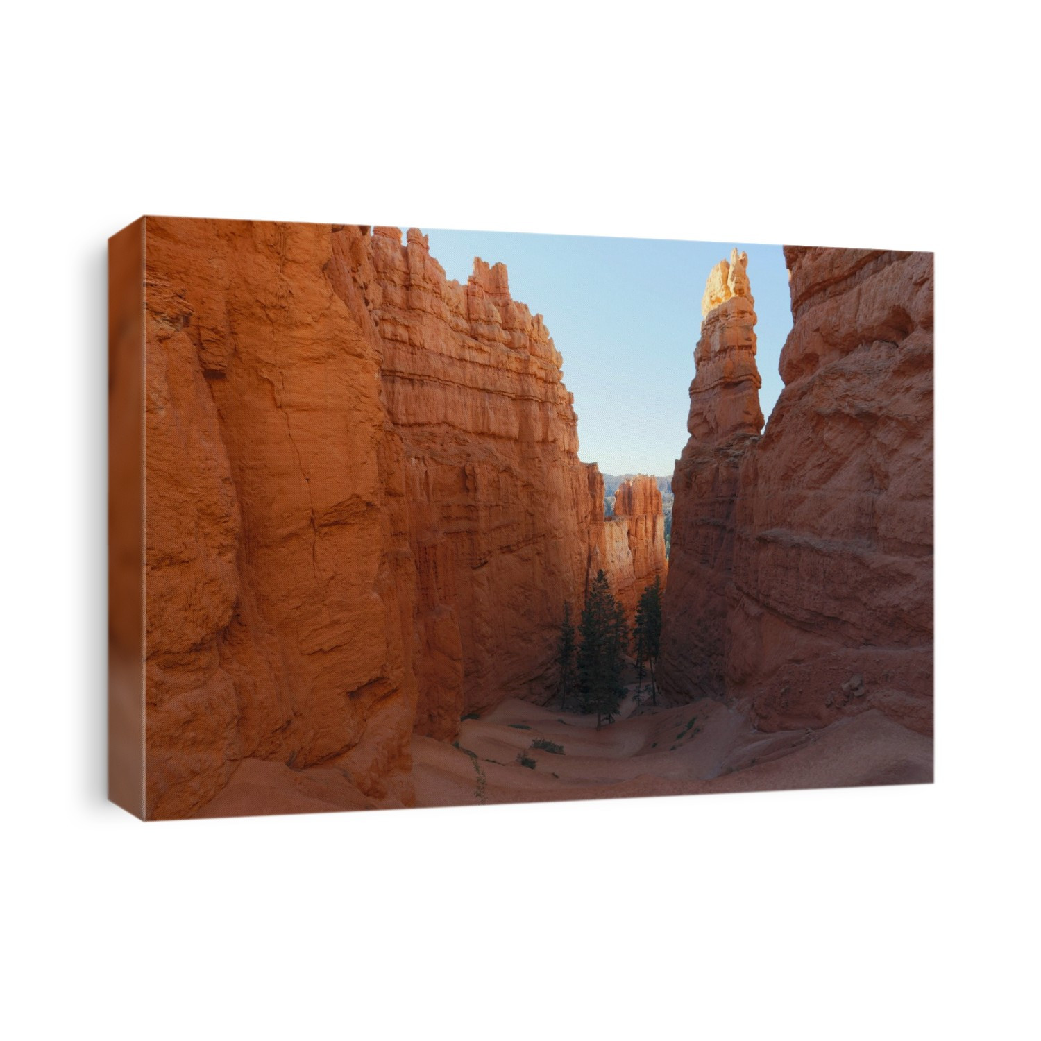 Switchbacks at sunrise. Dawn view down the Switchbacks on the Navajo Trail, Bryce Canyon National Park, Utah, USA.