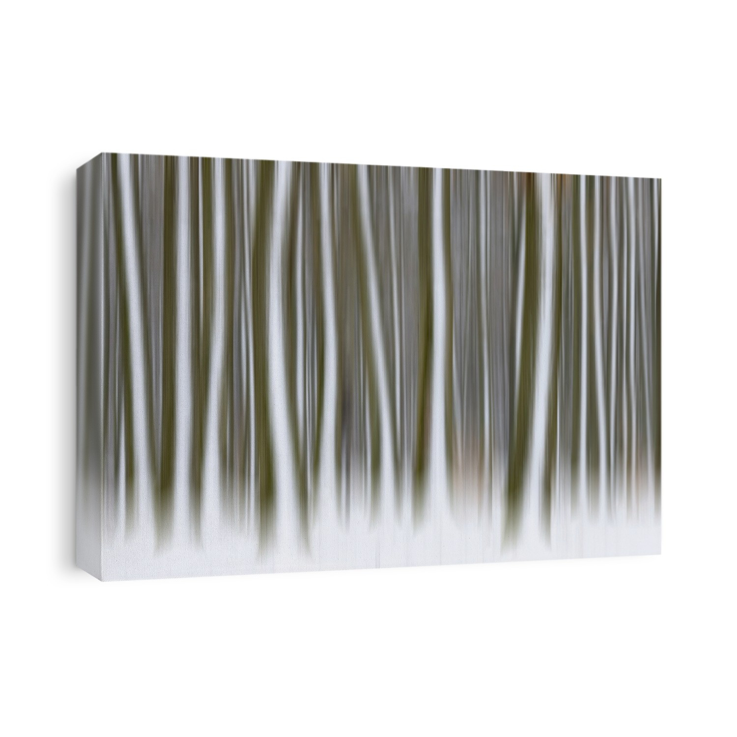 Blurred snow covered tree trunks in forest in winter in Franconia, Bavaria, Germany