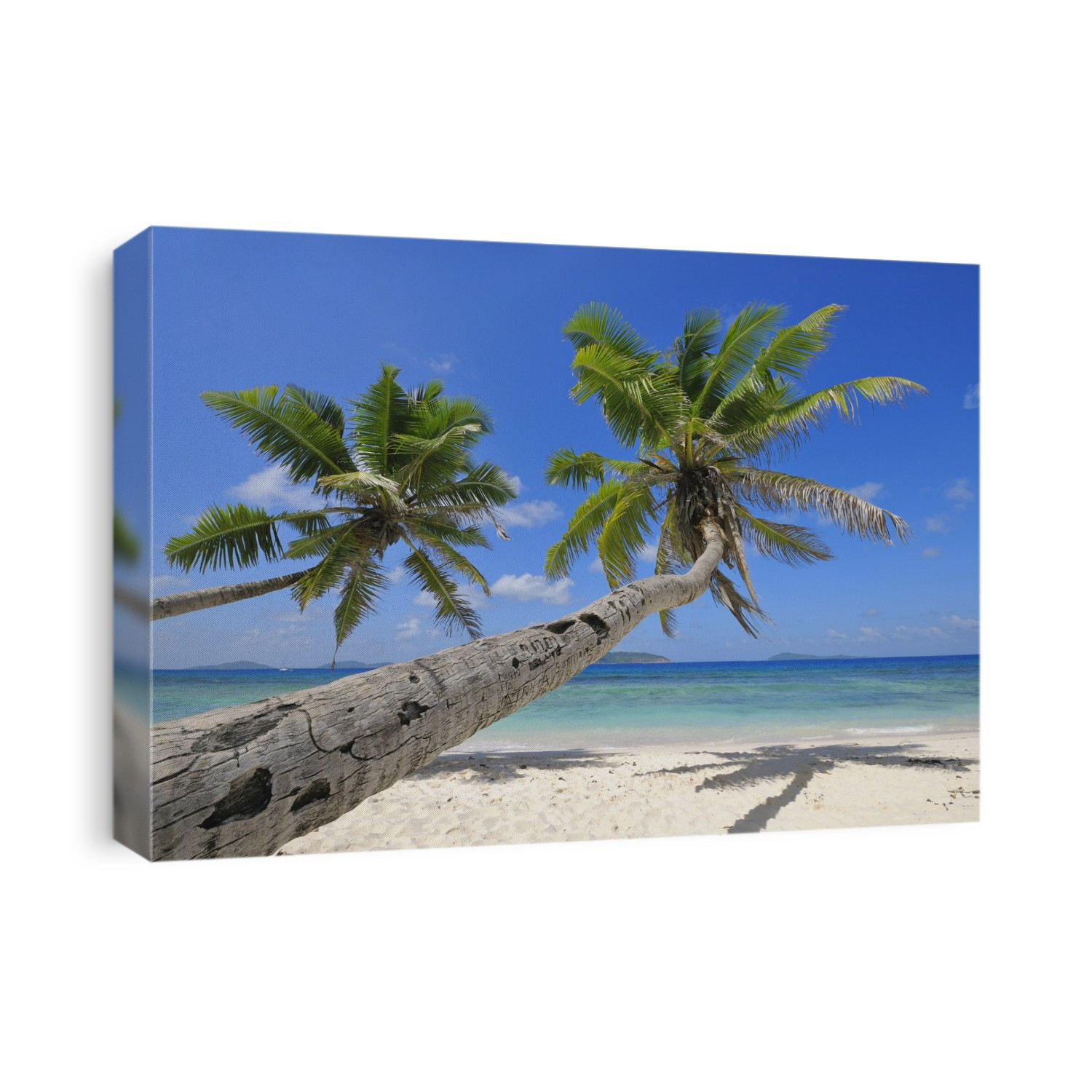 Palm Trees on Beach with Indian Ocean, La Digue, Seychelles