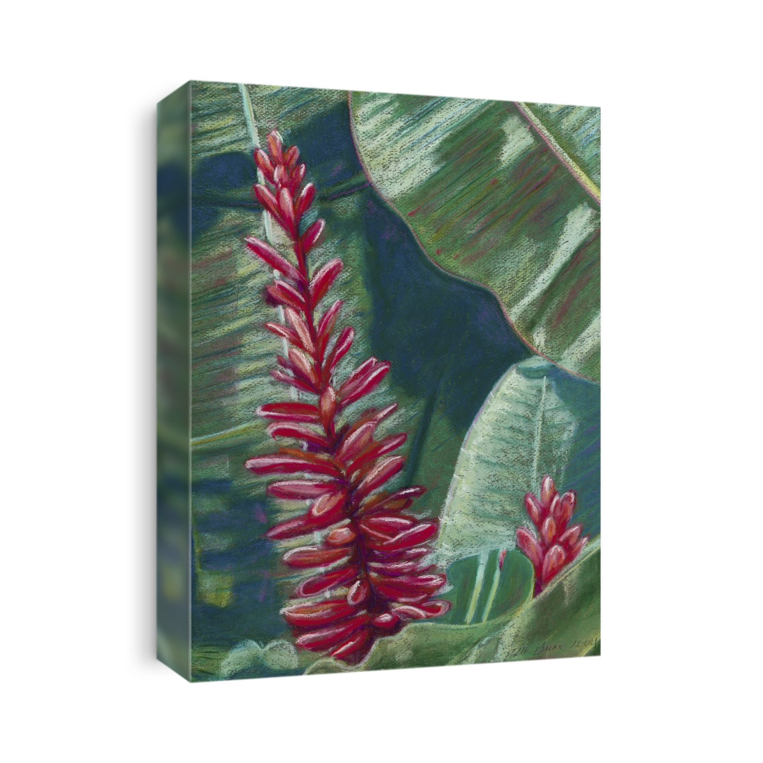 Red Ginger, Red Blossoms Among Green Leaves (Pastel).