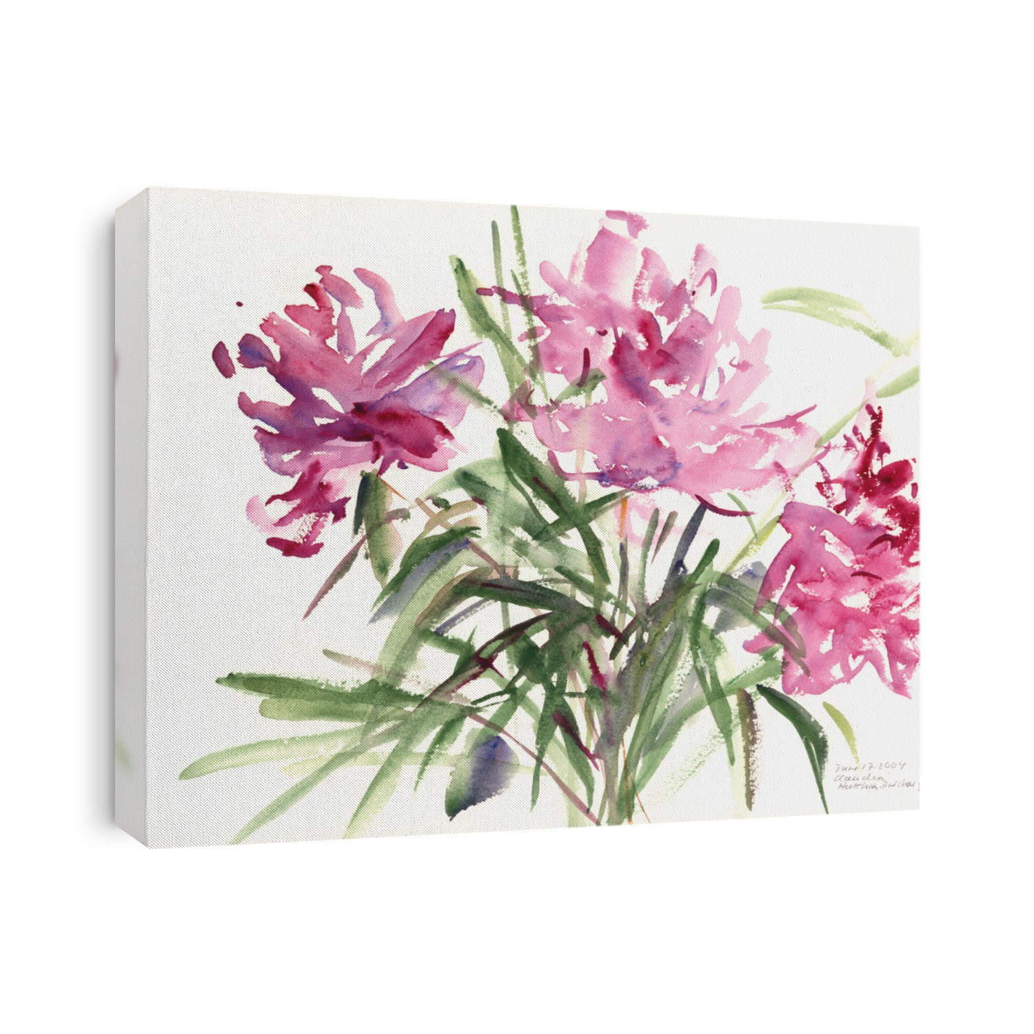etude de pivoines; pivoine;