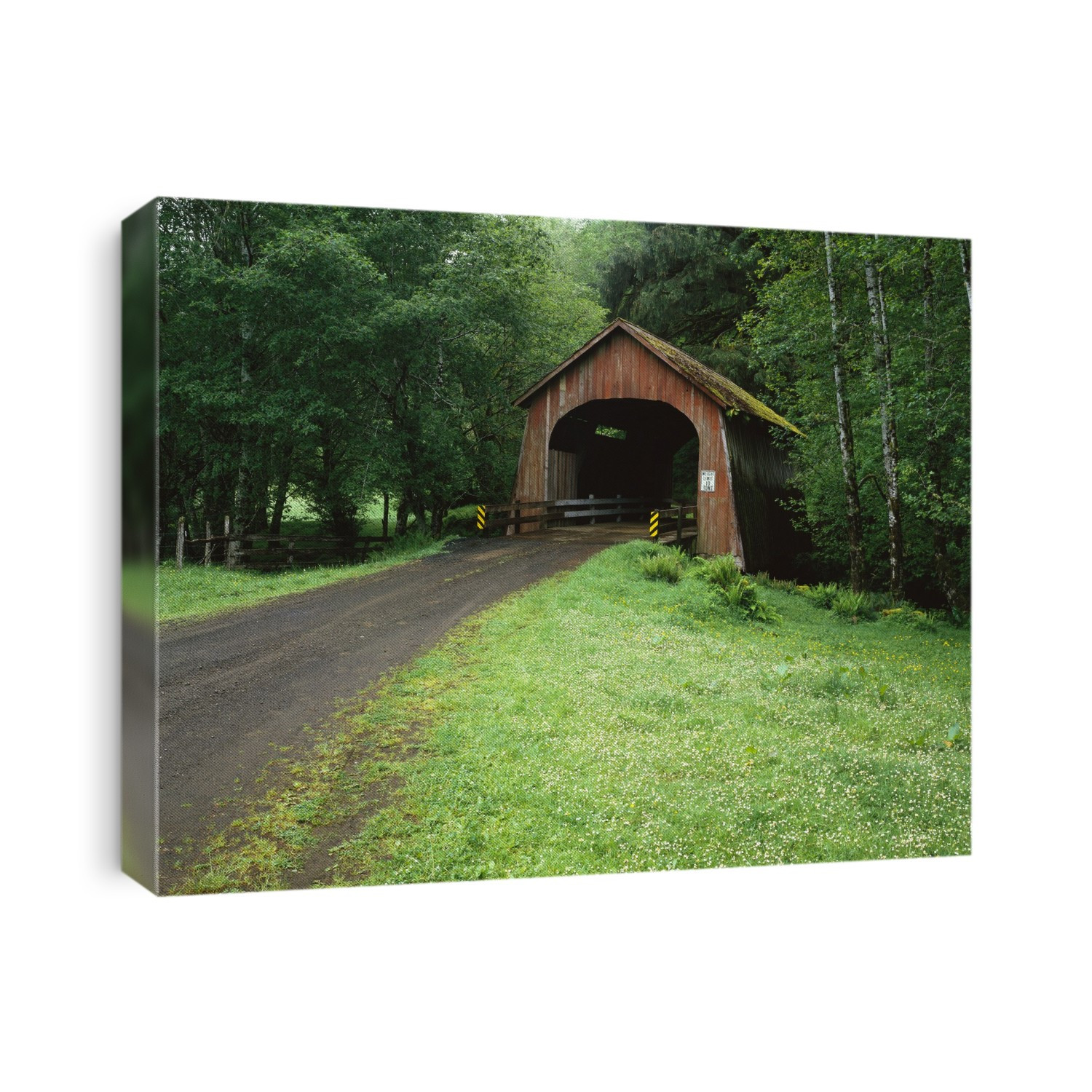 Covered Bridge on a Country Road near the Oregon Coast, USA; Yachats, Oregon, United States of America
