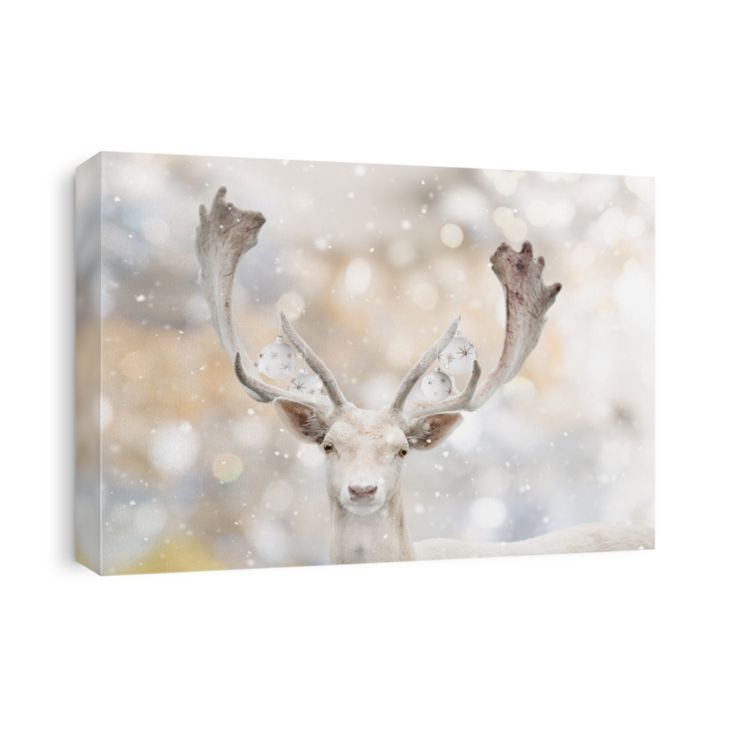 Portrait of white fallow deer with decorative christmas balls in winter time. Beautiful bokeh background.