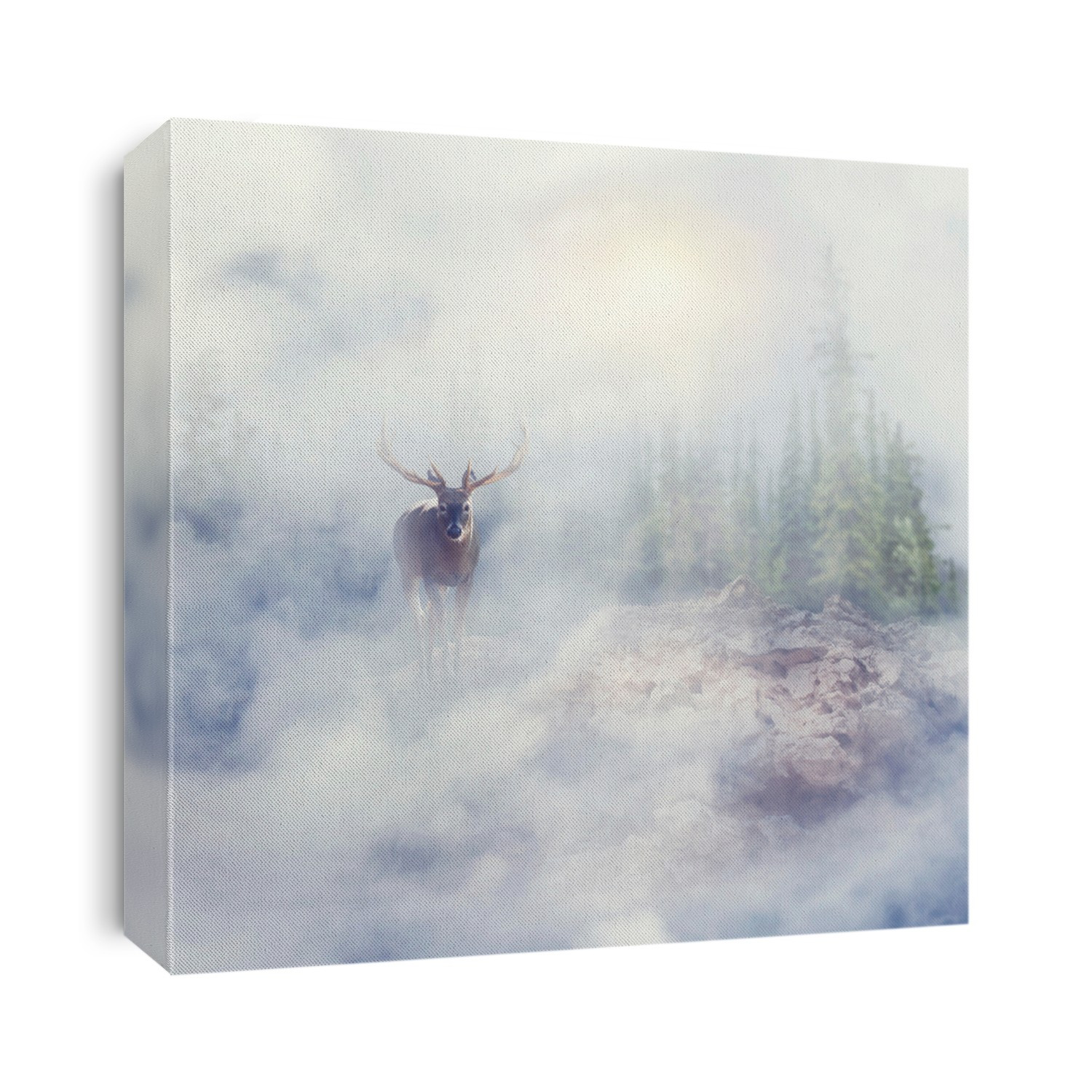 Deer standing on rocks in foggy landscape