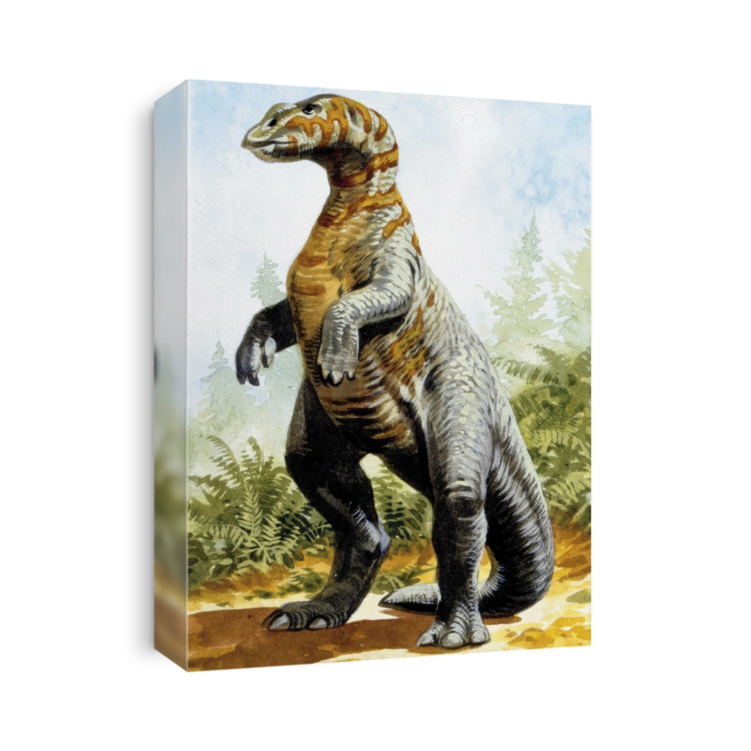 Kritosaurus dinosaur. Computer illustration of a Kritosaurus sp. dinosaur. This herbivorous ornithopod hadrosaur (duck-billed dinosaur) lived around 74-70 million years ago, during the Late Cretaceous Period, in what is now North America.