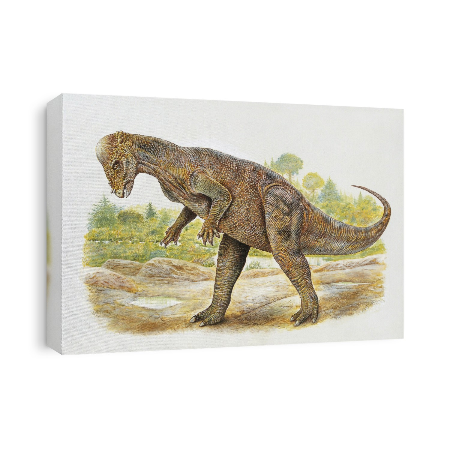Dinosaur in a forest. Pachycephalosaurus.