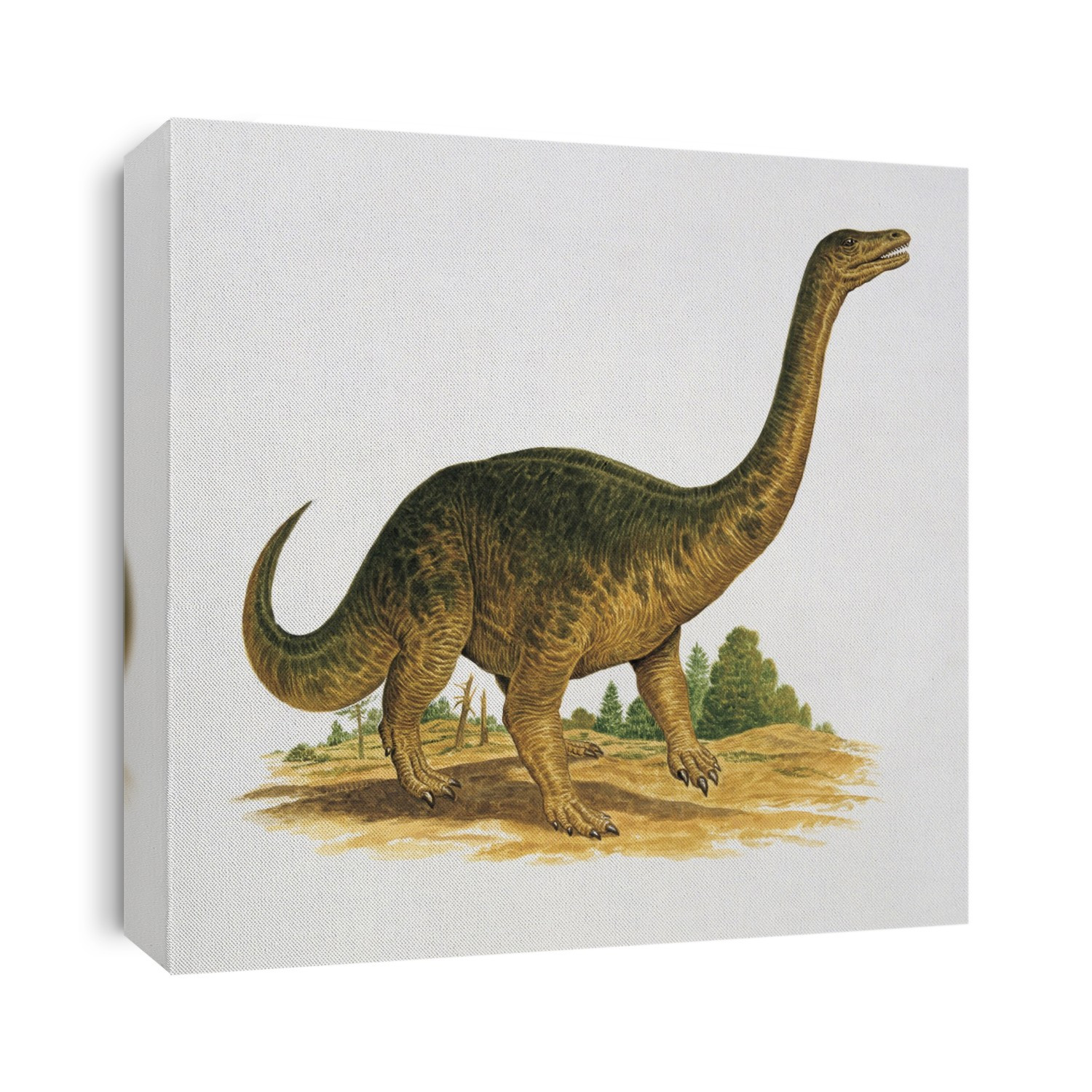 Side profile of a riojasaurus.