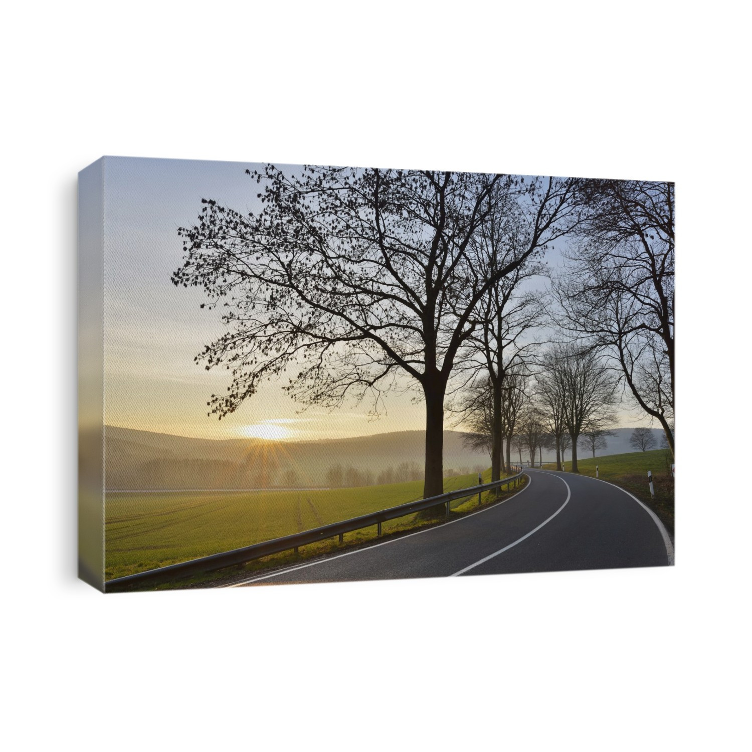 Country road with morning sun, Echte, Kalefeld, Harz, Lower Saxony, Germany