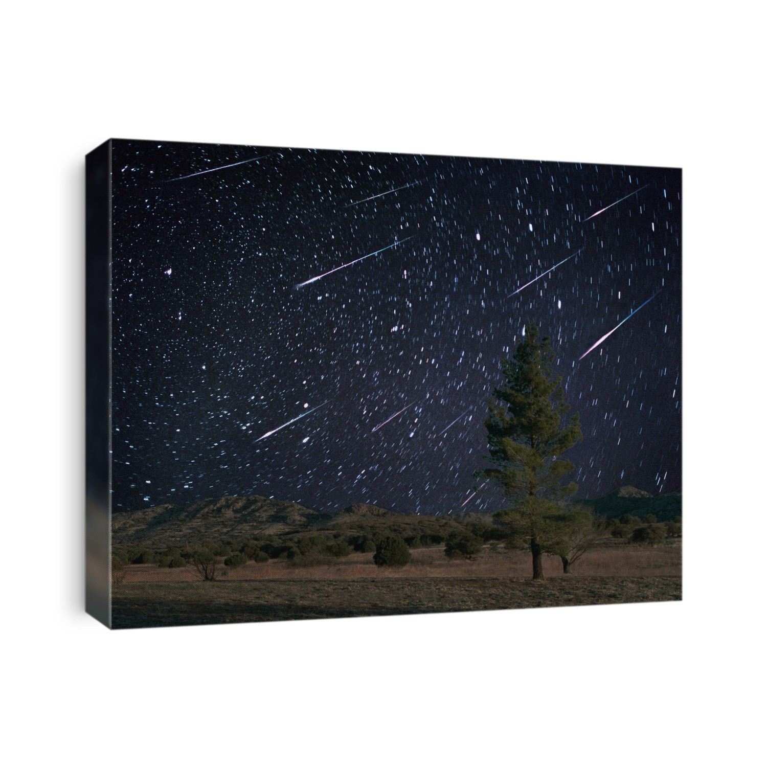 Leonid meteors. Composite image of meteors during the Leonid meteor shower. This annual meteor shower occurs around the 17th November each year. Meteors are streaks of light in the sky caused by the burning up of tiny dust particles in the upper atmosphere as they fall to Earth. This shower is caused by the Earth passing through the stream of debris left in the orbit of the comet Tempel- Tuttle. The comet has a 33-year orbital period, and every 33 years the Leonids peak from their usual rate of around 12 meteors per hour to thousands. This image was taken in 1998, one year before the shower's peak in 1999.