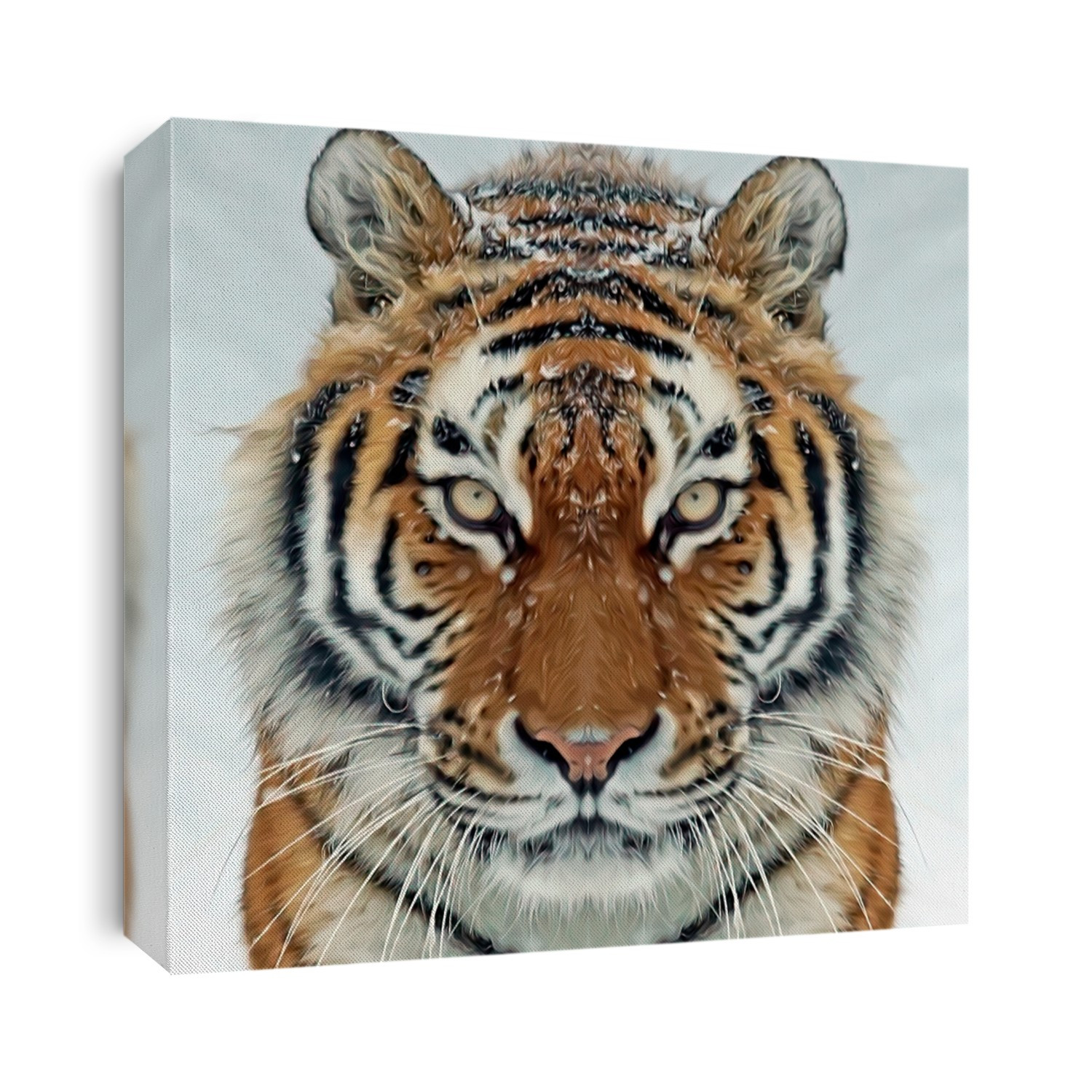 tiger face photo Wildlife photo