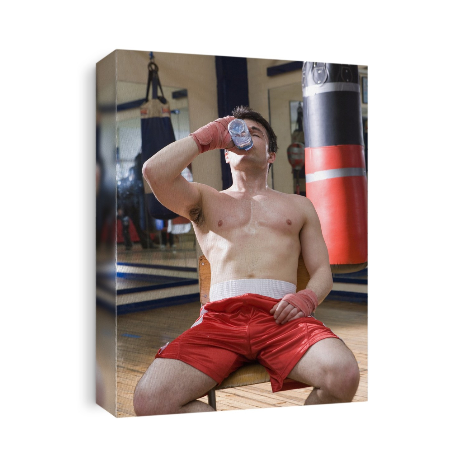MODEL RELEASED. Boxer drinking during a break in training. Boxing is a combat sport where two opponents of equal weight hit each other with gloved fists. Punches are only allowed to the head and body. boxers practice for fights by sparring with each other in the boxing ring. During contests, boxers often aim for a knockout punch that causes the opponent to fall unconscious. Concussion or permanent brain damage can result as a consequence of a knockout punch. Boxers must wear protective equipment such as a gumshield, gloves and, in amateur boxing, head protection.