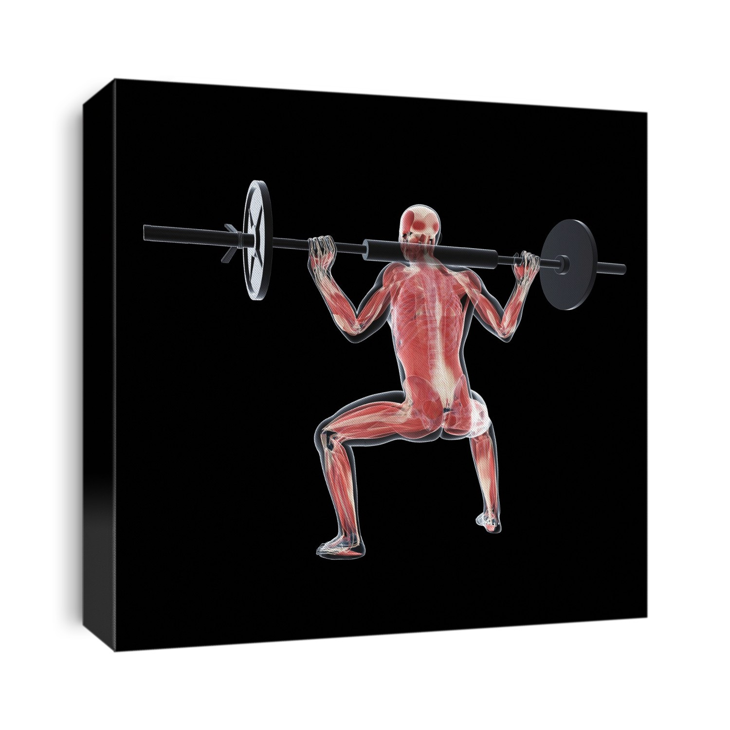 Weightlifter, computer artwork.