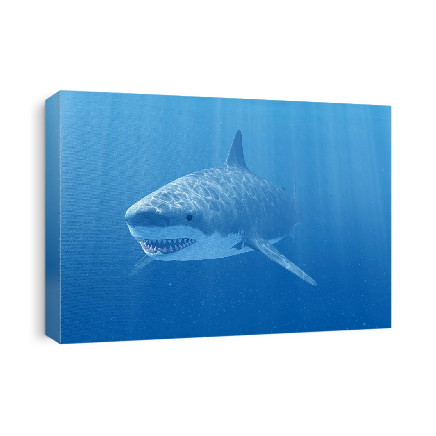 Shark swimming underwater, illustration.