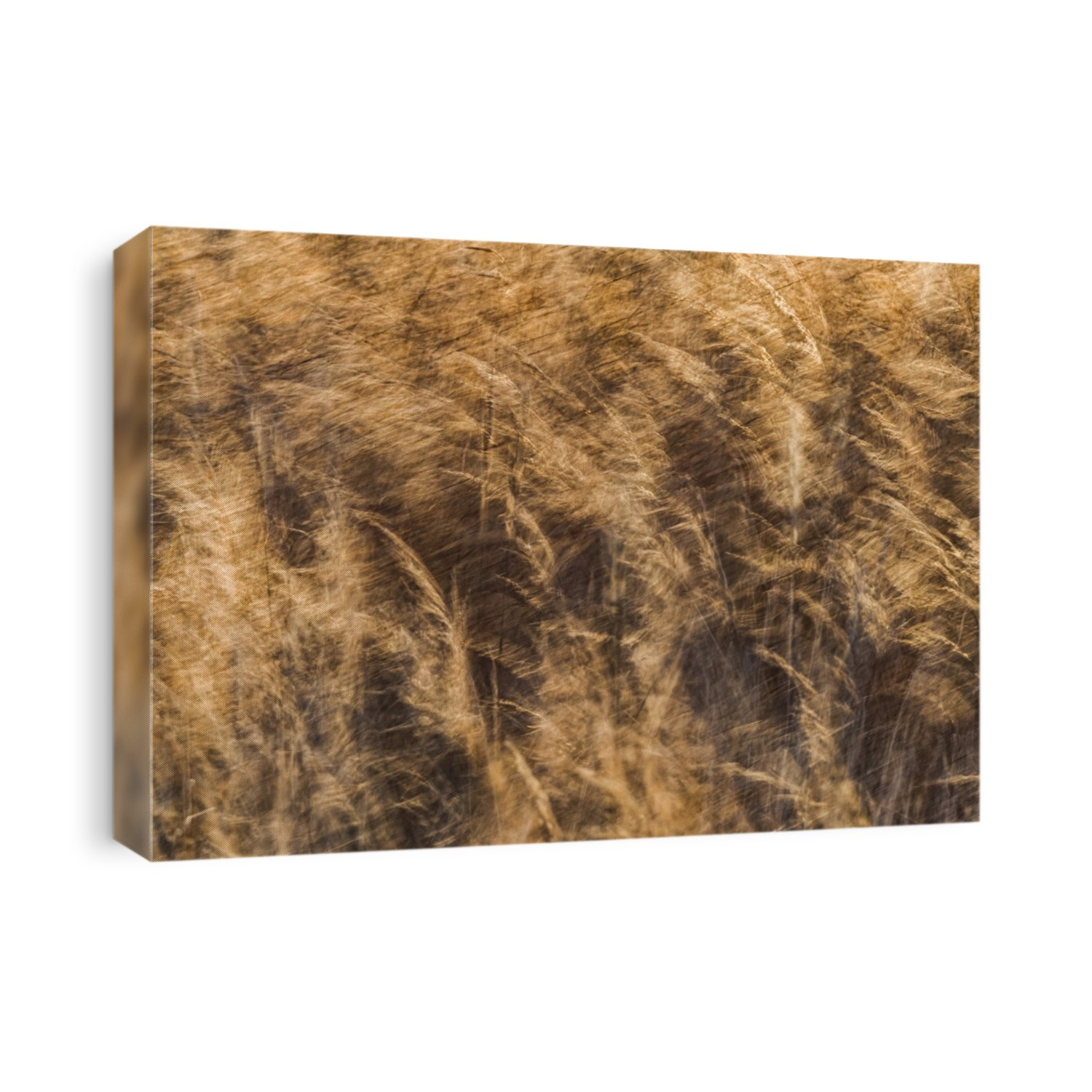 Artistic impression of grass blowing in the wind on the shores of Hudson Bay; Manitoba, Canada