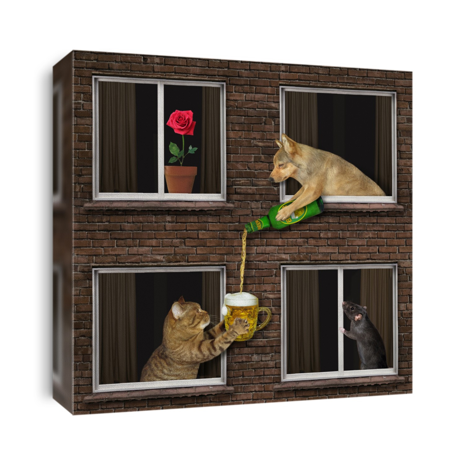The beige dog is leaning out of the window and pouring beer for his cat neighbor of the their house. A black rat watching them.