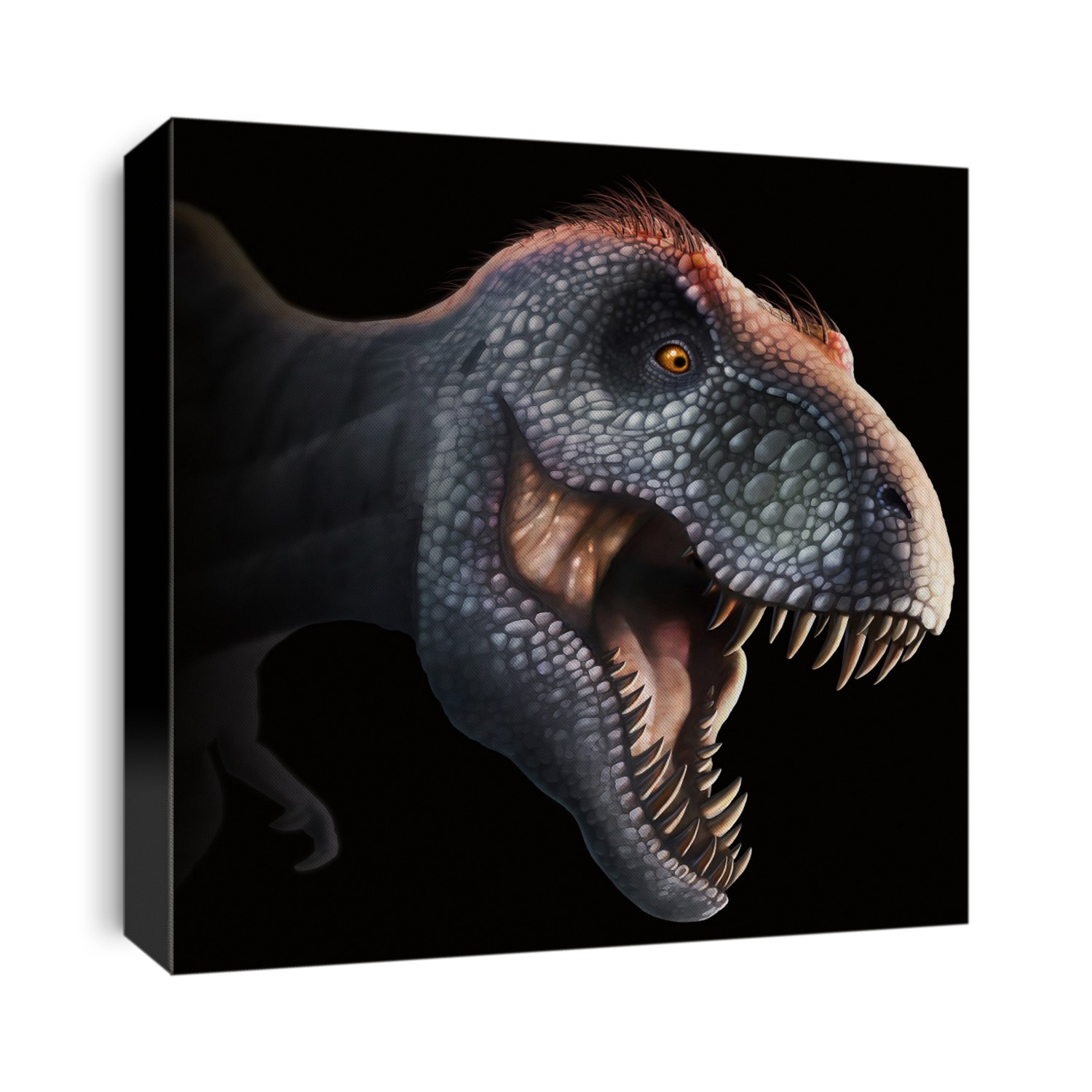 Tyrannosaurus rex head, illustration. This dinosaur lived in North America from about 70 million years ago until the extinction of the dinosaurs some 5 million years later. The head is heavily built, to withstand impacts with prey animals, and has the sharp teeth of a predator. T. rex is thought to have been a scavenger as well as a hunter. Among the largest carnivorous dinosaurs, T. rex was up to 6 metres tall and weighed as much as 7 tonnes. The animal is depicted with brown feathers, although whether it had them in real life is speculative.