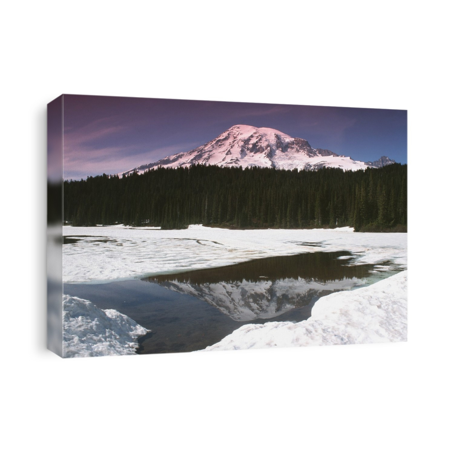 Mount Rainier seen above a forest and a lake in a snowy landscape. Mount Rainier is the tallest active volcano in the Cascades mountain range in Washington State, USA. This volcano is part of the Pacific Ring of Fire, a chain of volcanoes that circles the Pacific Ocean. Volcanoes form around cracks in the Earth's crust that allow molten rock (magma) to escape to the surface from beneath the crust.
