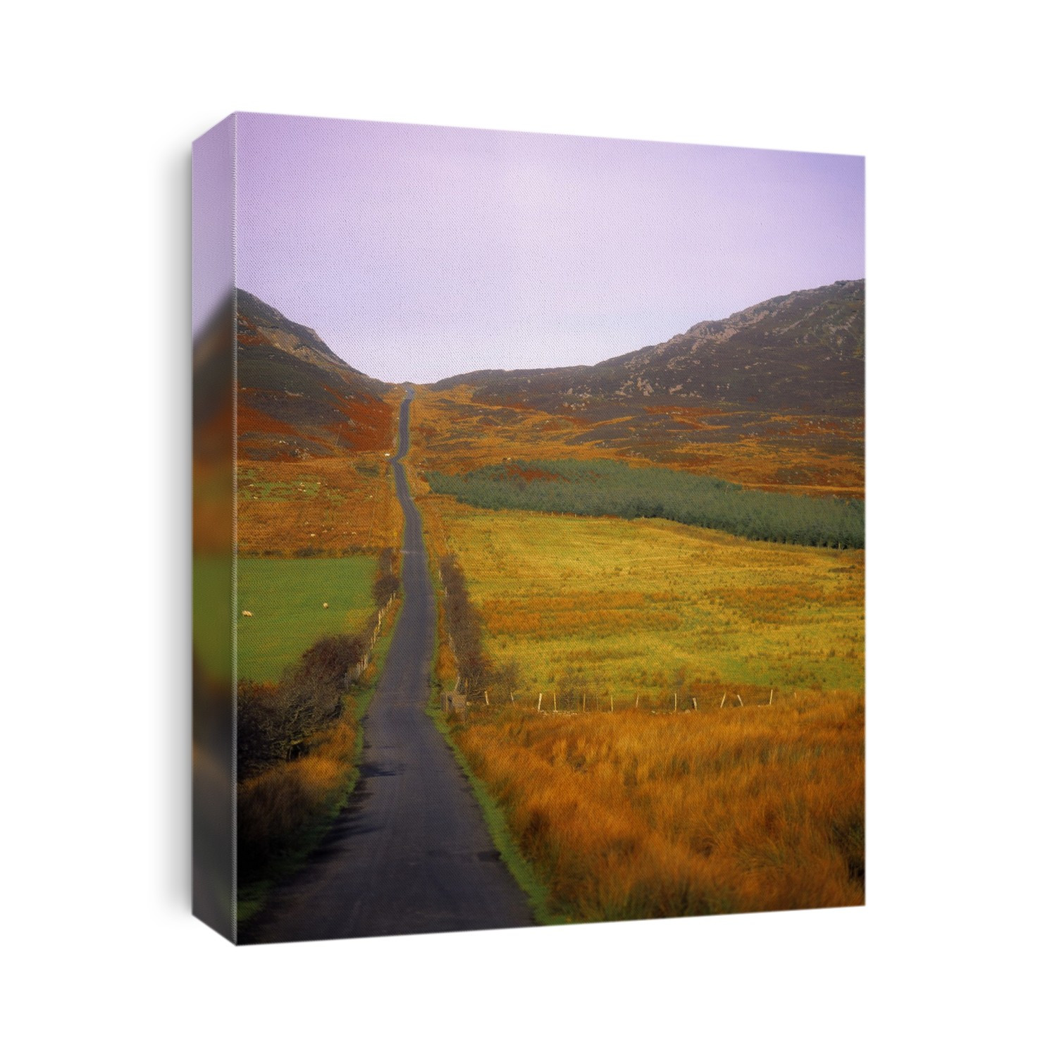 Gap Of Mamore, Inishowen, Co Donegal, Ireland