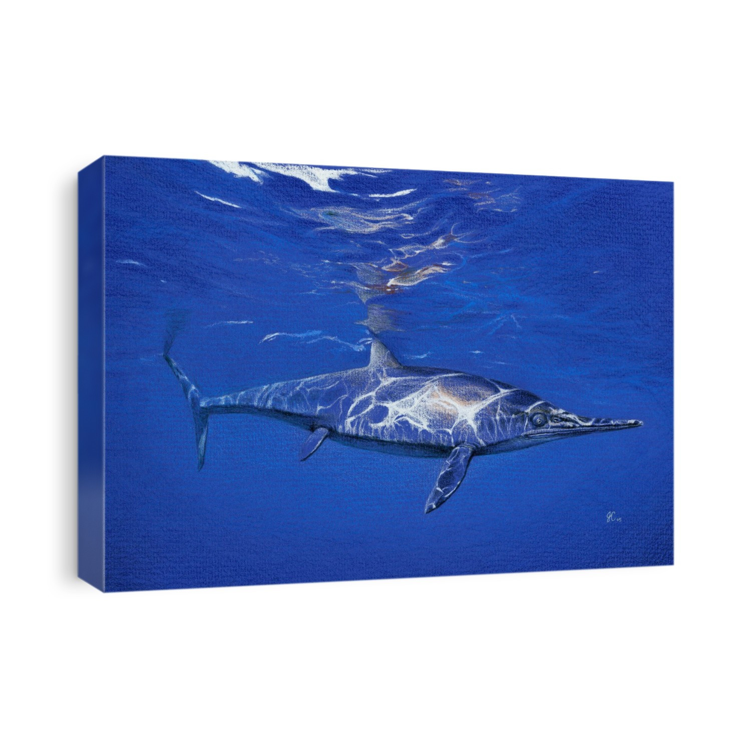 Ichthyosaurus communis marine reptile, artwork. This animal is an example of convergent evolution, where different species under the same evolutionary pressures evolve to form similar body shapes and functions. This marine reptile is a species of ichthyosaur, a type of marine reptile whose fossils have been found in Europe, dating from the Early Jurassic.